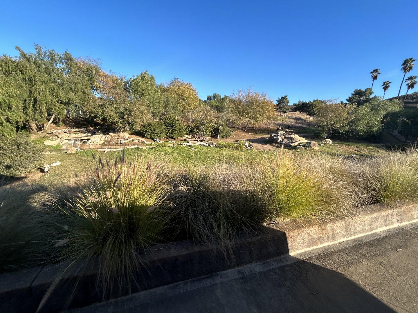 Bird Marsh Exhibit (5 species)