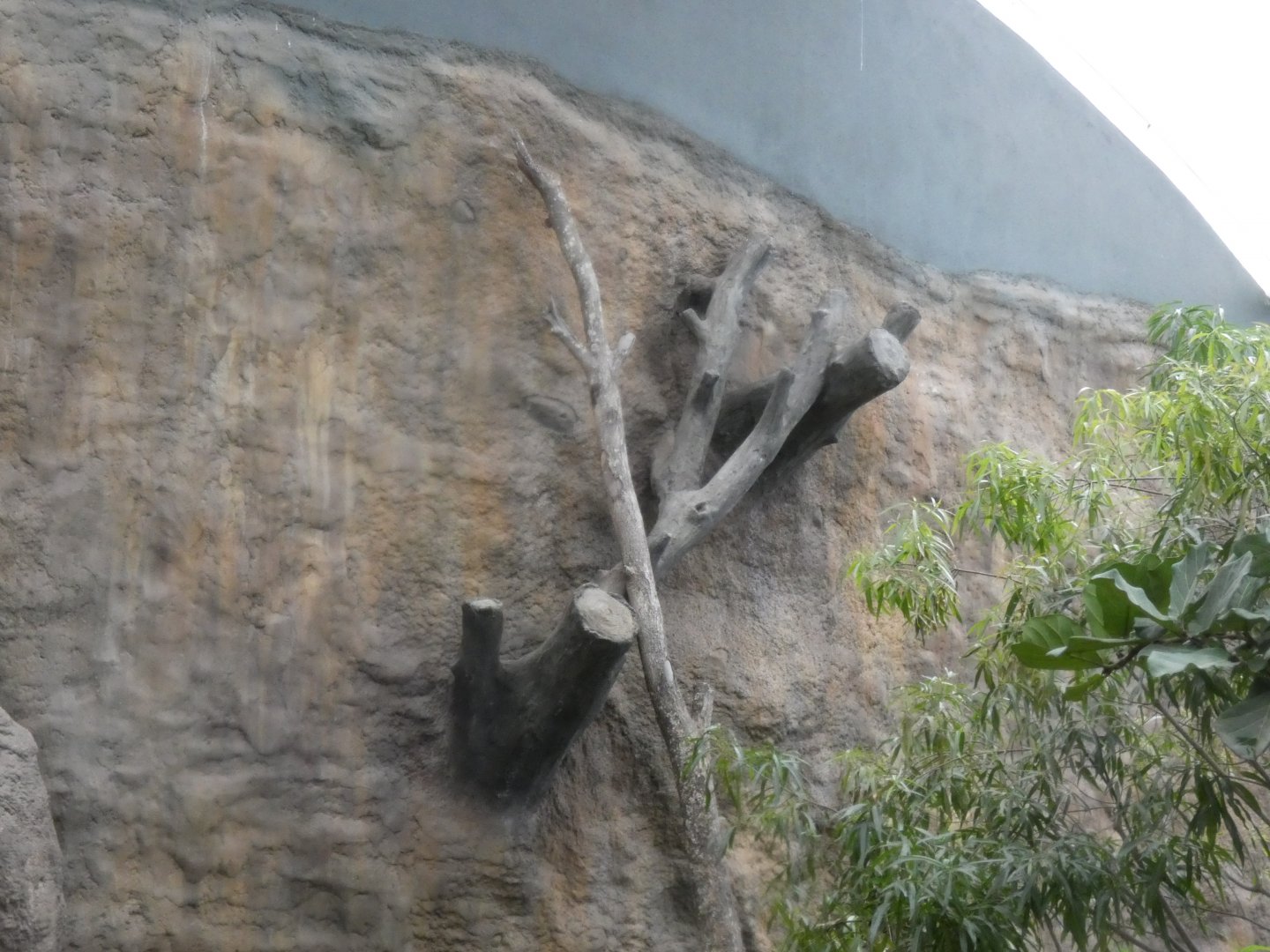 Bird nesting perches