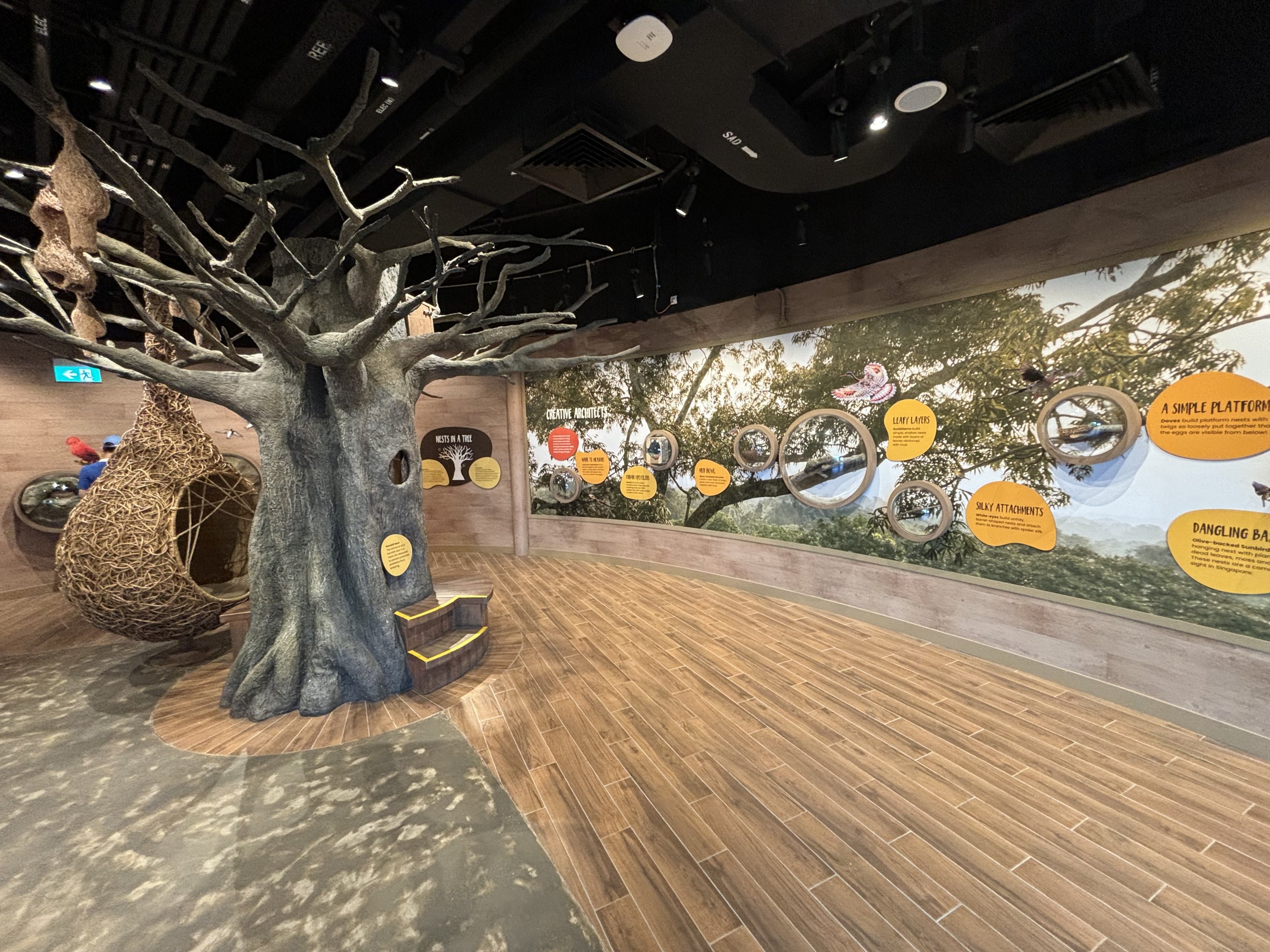 Bird Nests - room between African + Asian aviaries