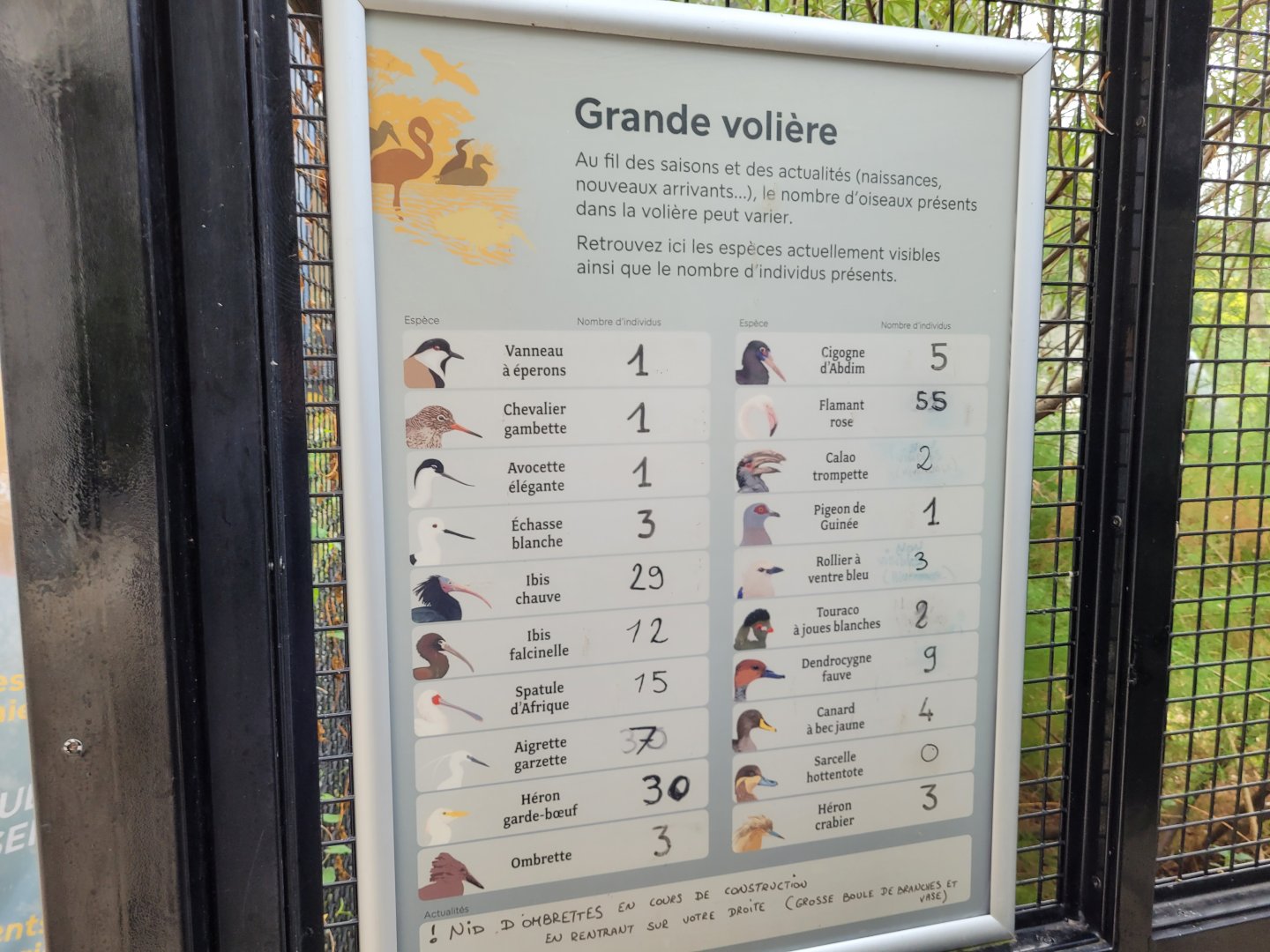 Bird numbers of the African aviary -Parc Zoologique de Paris (2022)