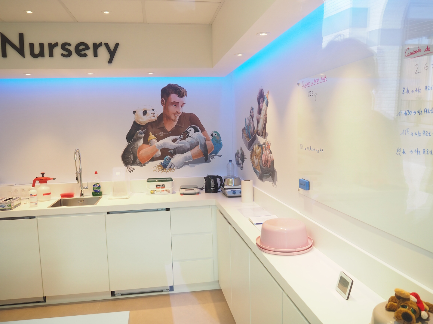 Bird nursery, 2023-05-16