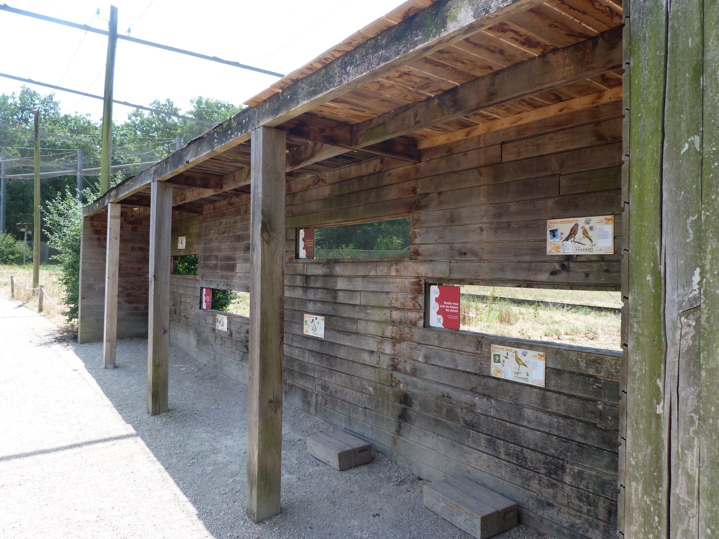 Bird observation hide at walkthrough aviary -Zoodyssée (2025)