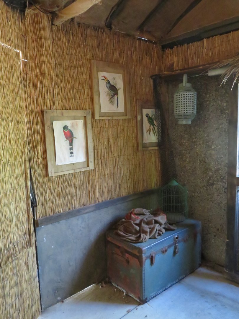 Bird Observation Hut