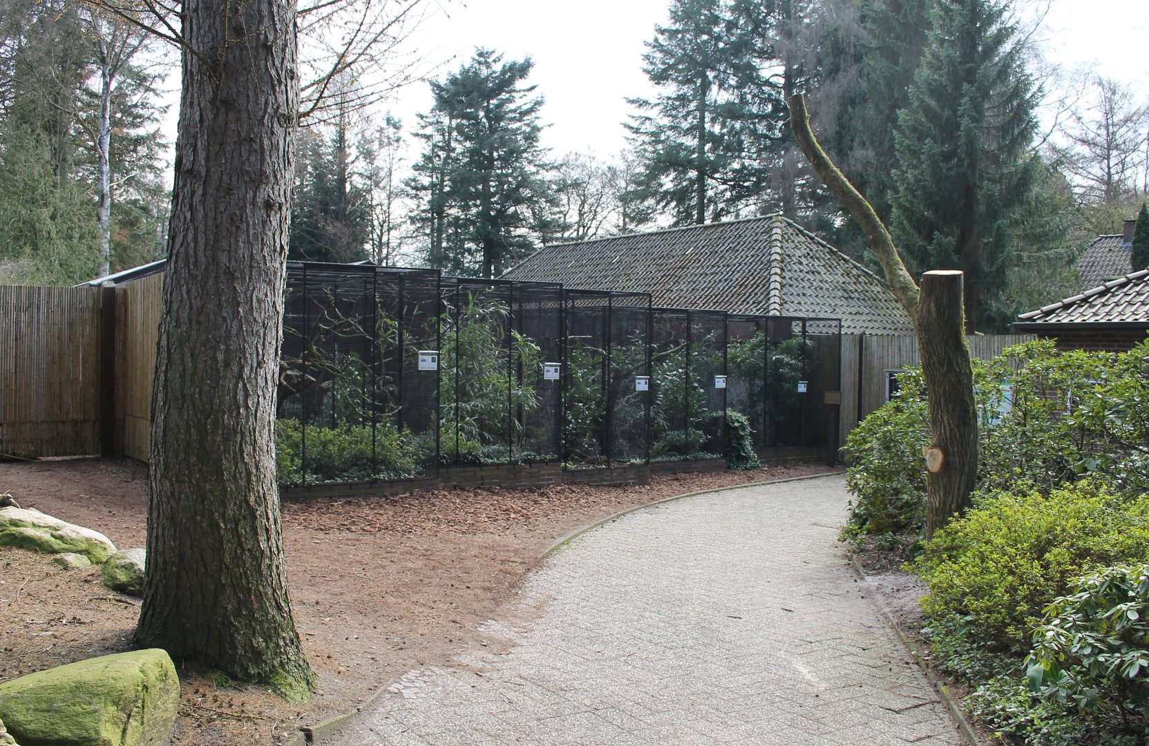 Bird-of-paradise aviaries (24/3-19)