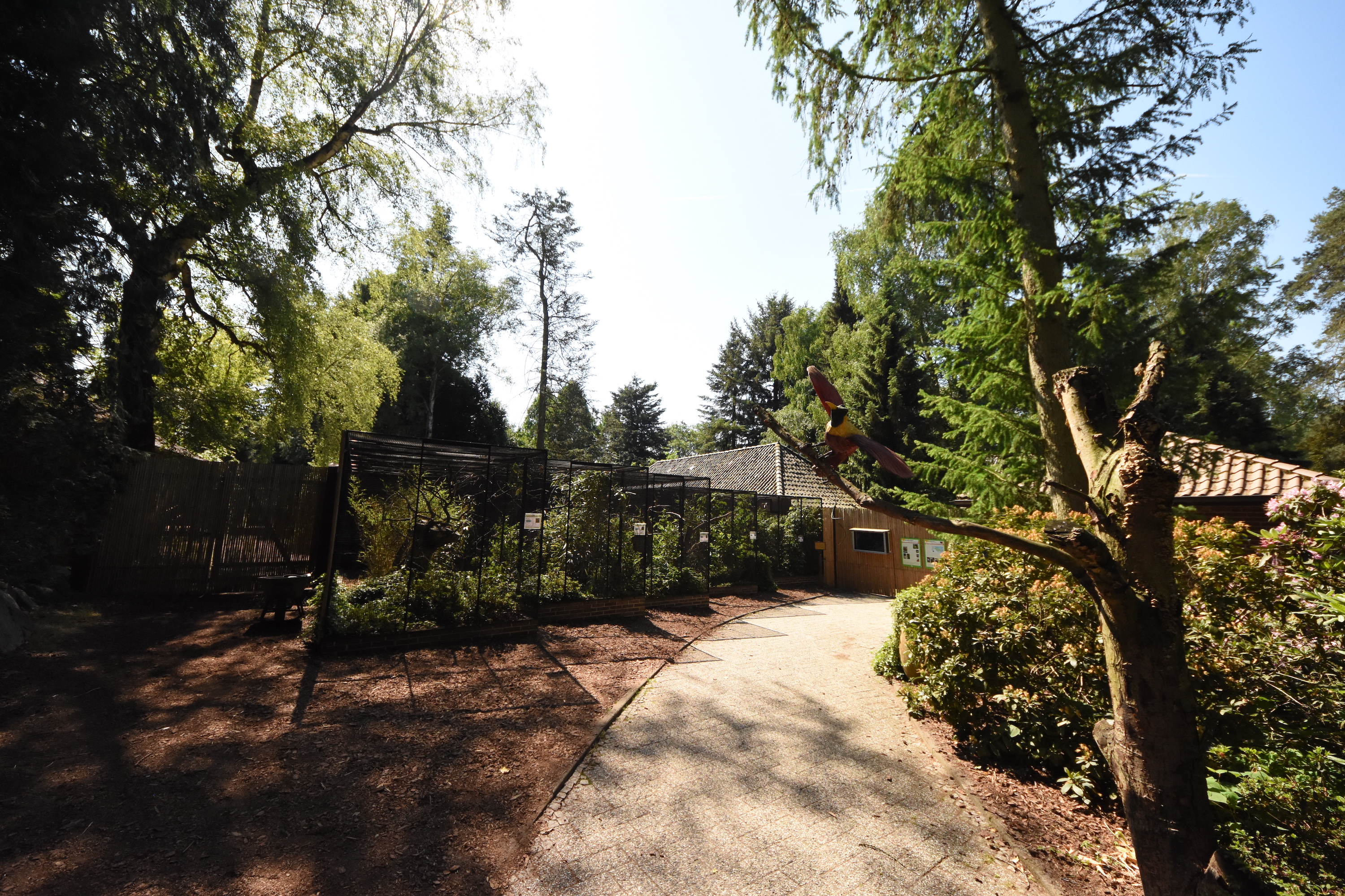 Bird of Paradise aviaries