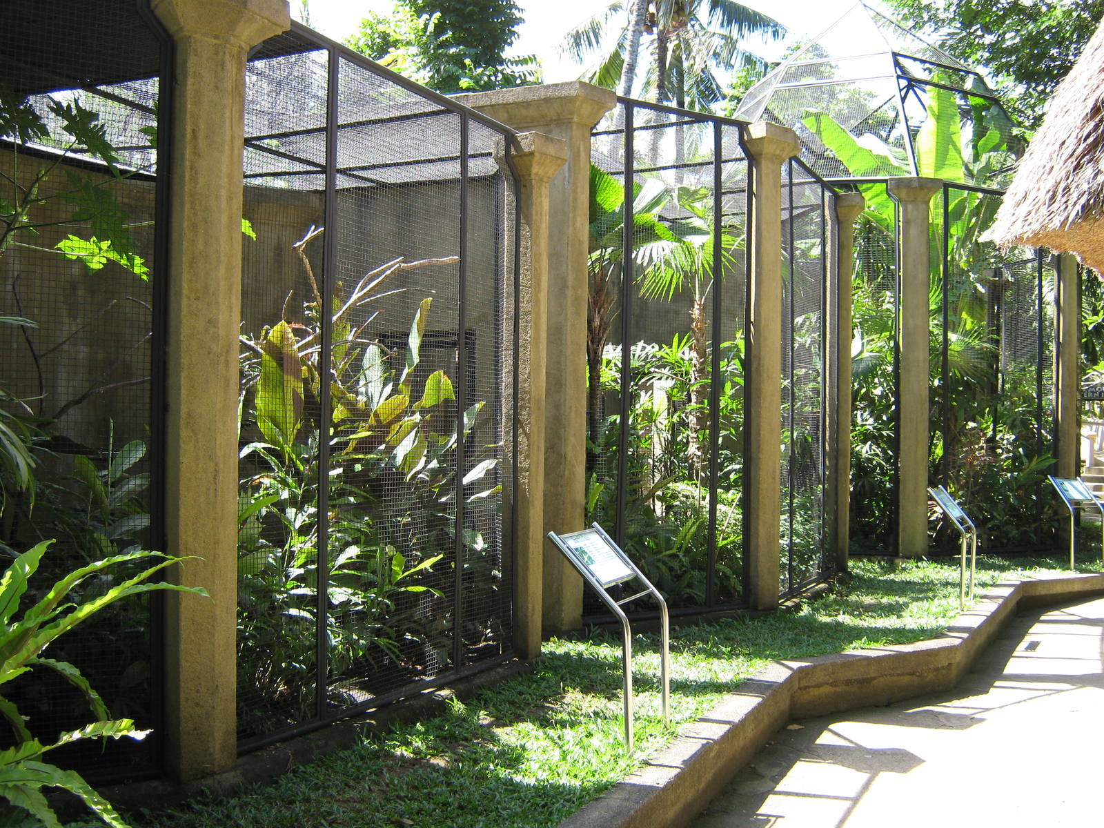 bird-of-paradise aviaries