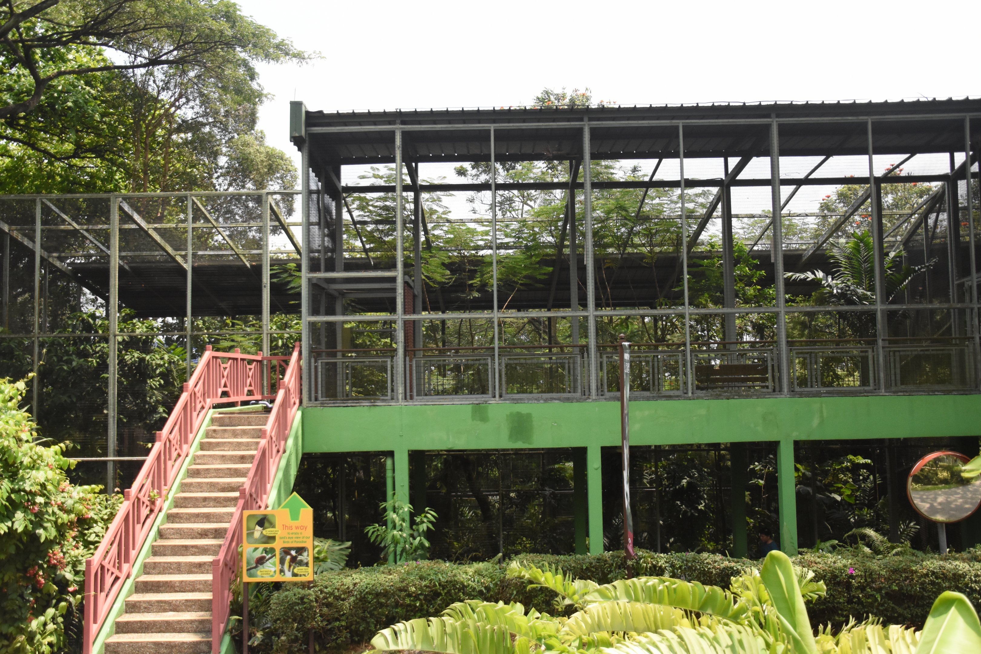 Bird-of-paradise aviary