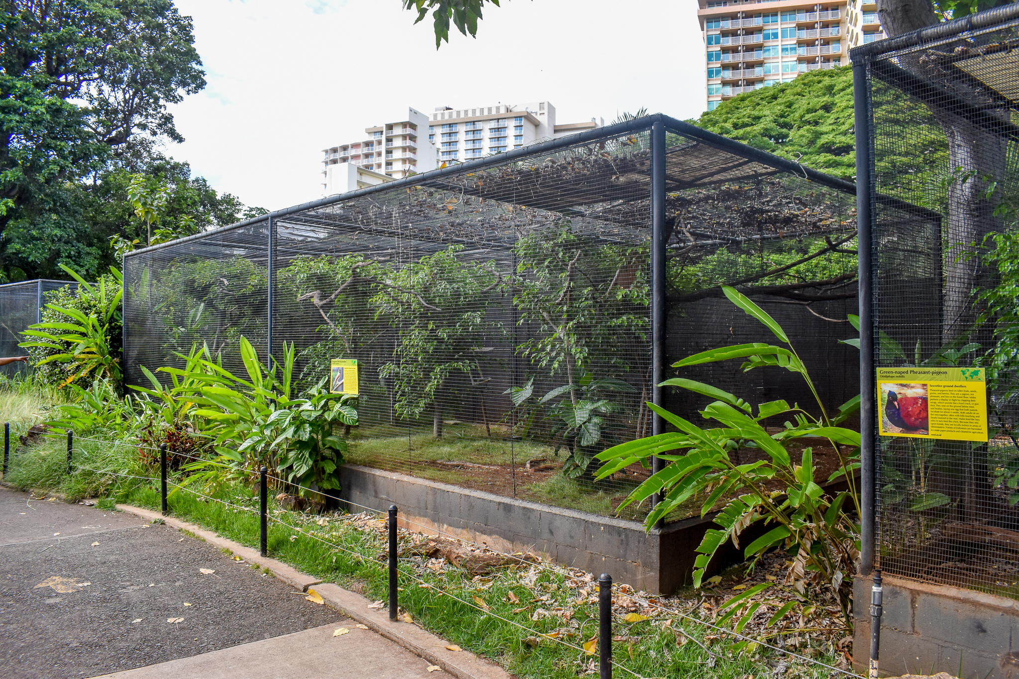 Bird-of-paradise enclosure
