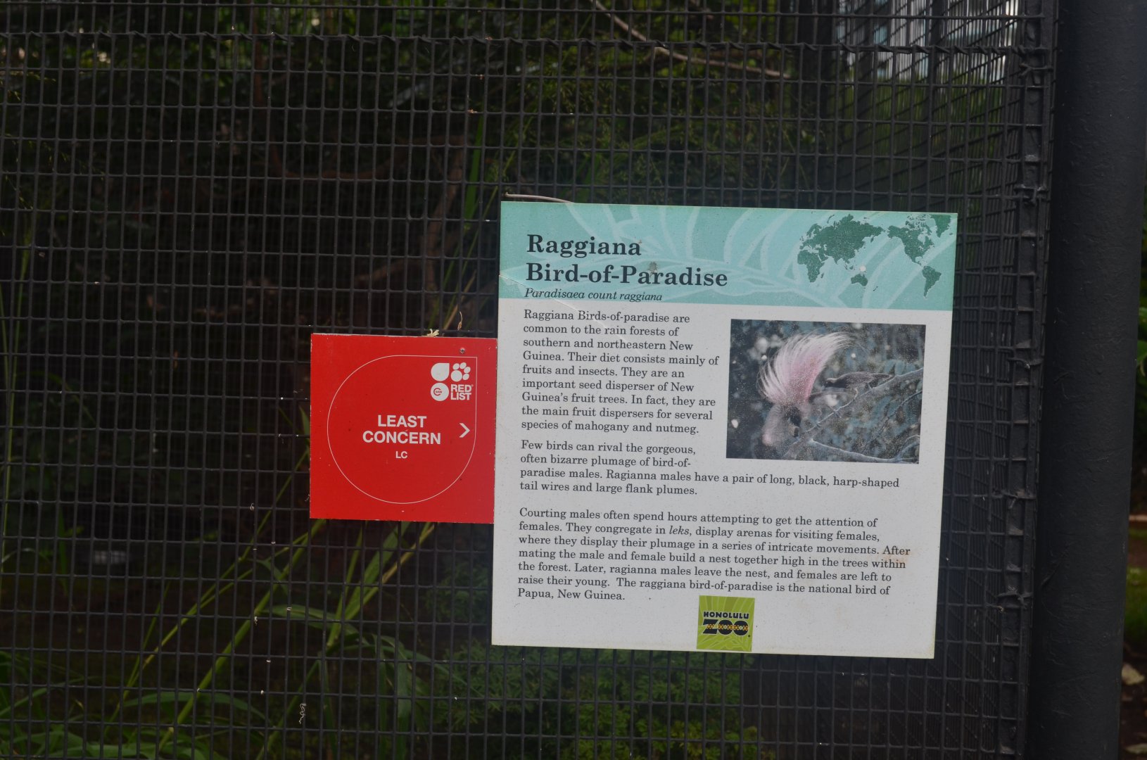 Bird of Paradise Signage