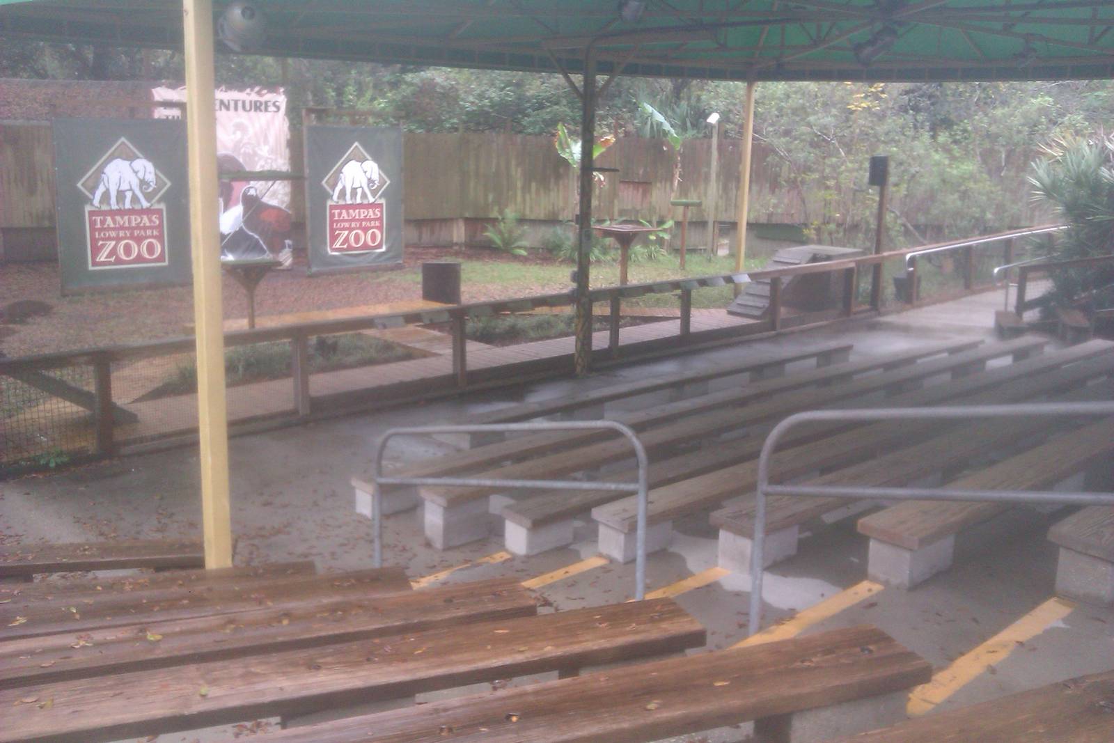 Bird of Prey Amphitheatre