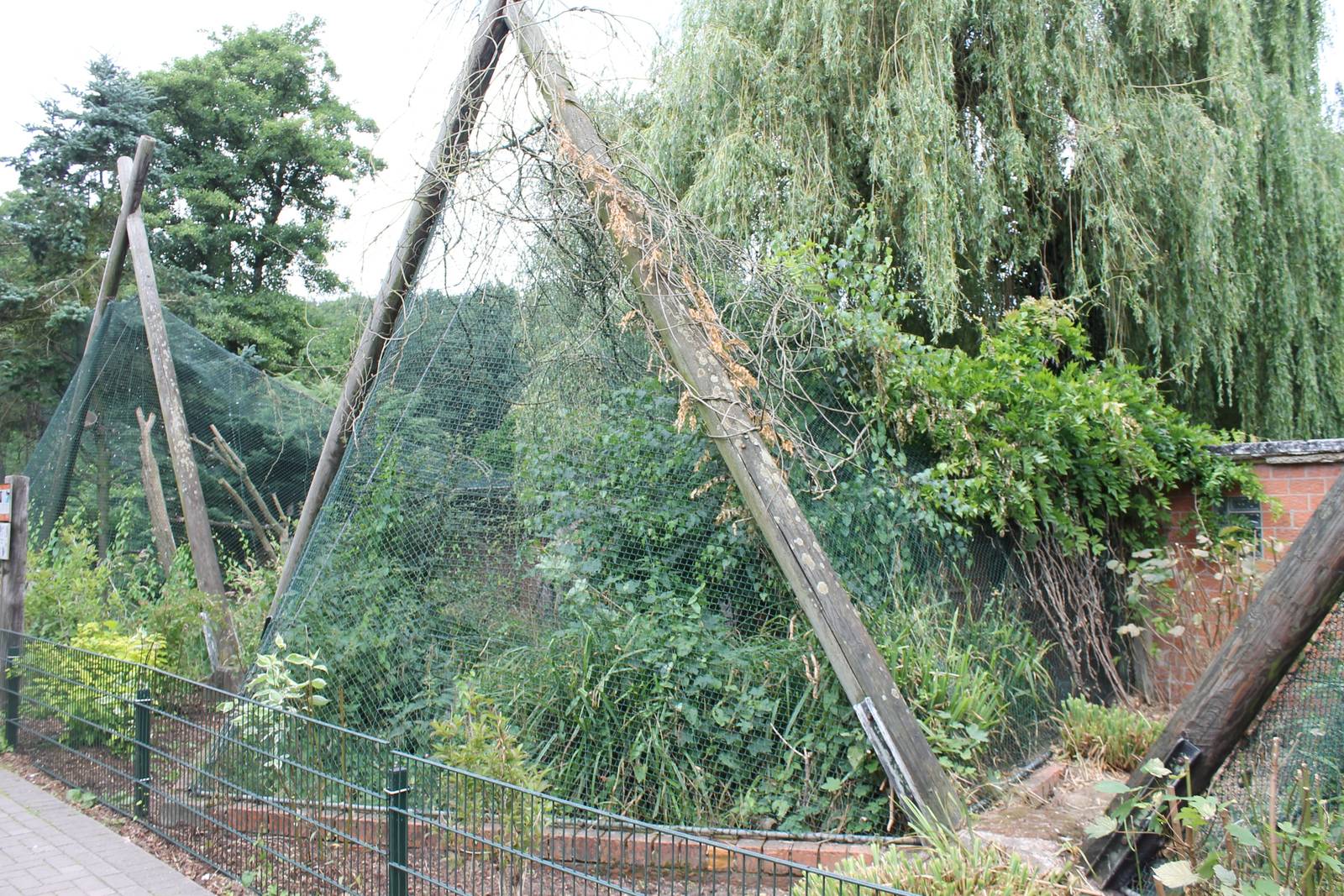 Bird of prey and owl aviaries