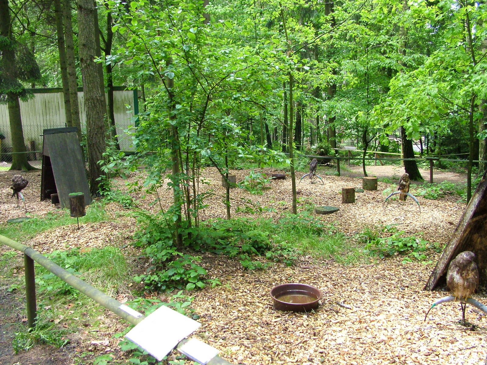 Bird of Prey area at Olomouc 30/05/09