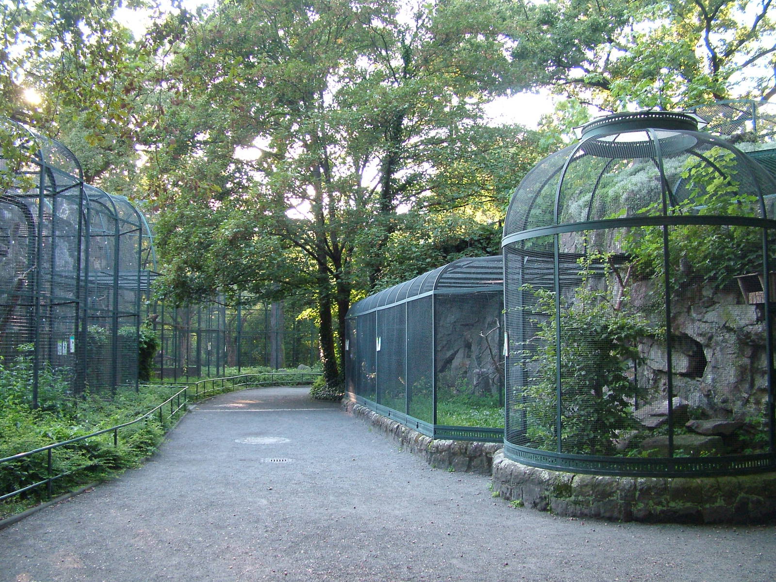 Bird of Prey Aviaries at Berlin Zoo, 31/08/11