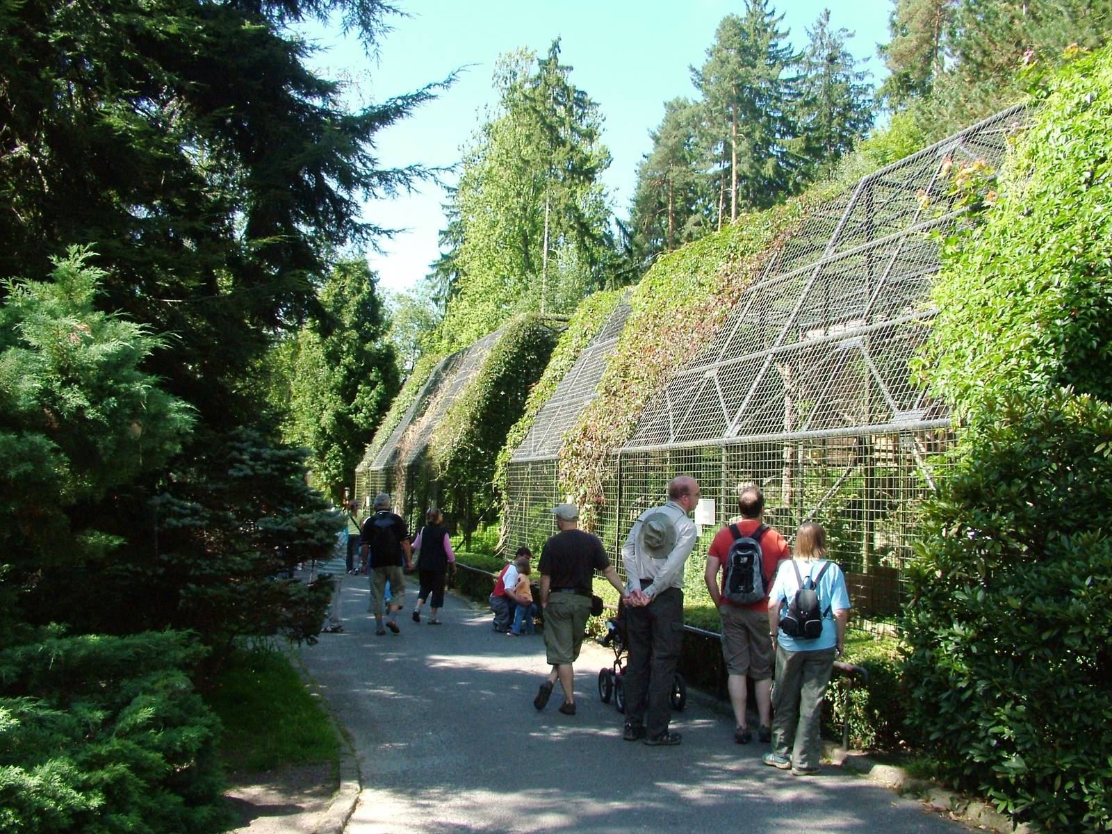 Bird of Prey Aviaries at Liberec, 28/08/12
