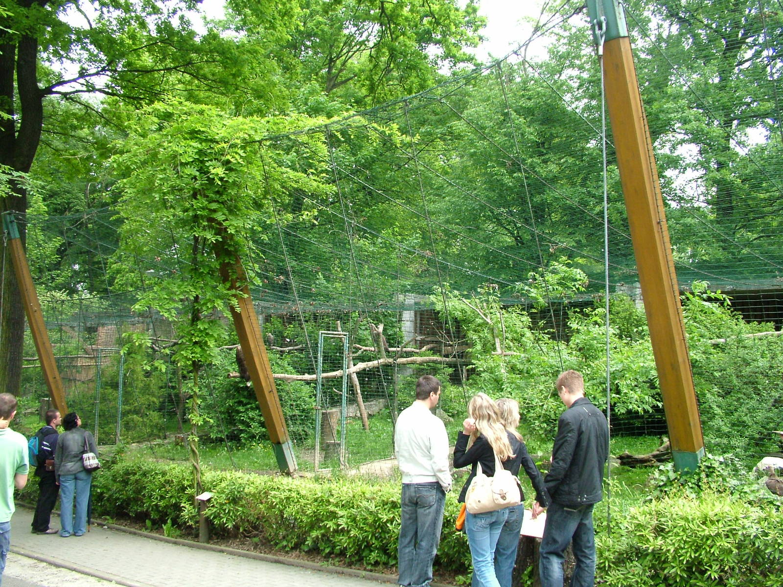 Bird of Prey aviaries at Ostrava, 29/05/10