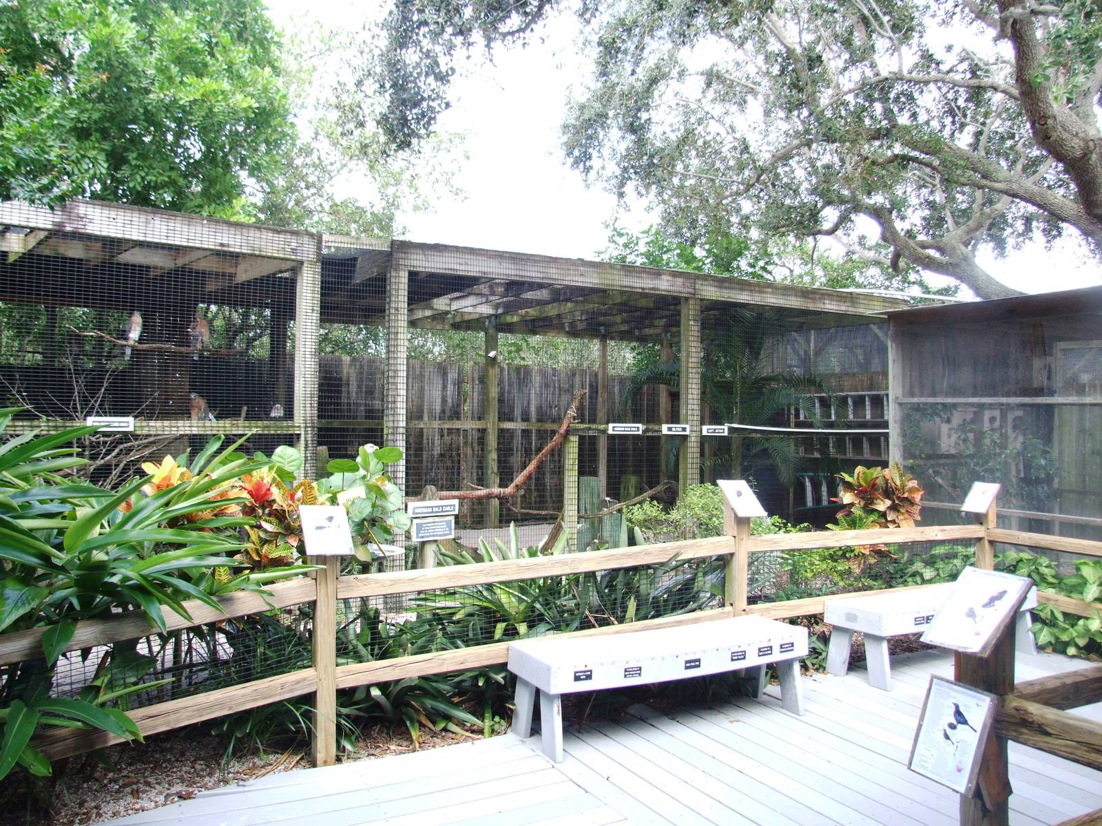Bird of Prey Aviaries at Peace River Wildlife Centre, 09/10/13