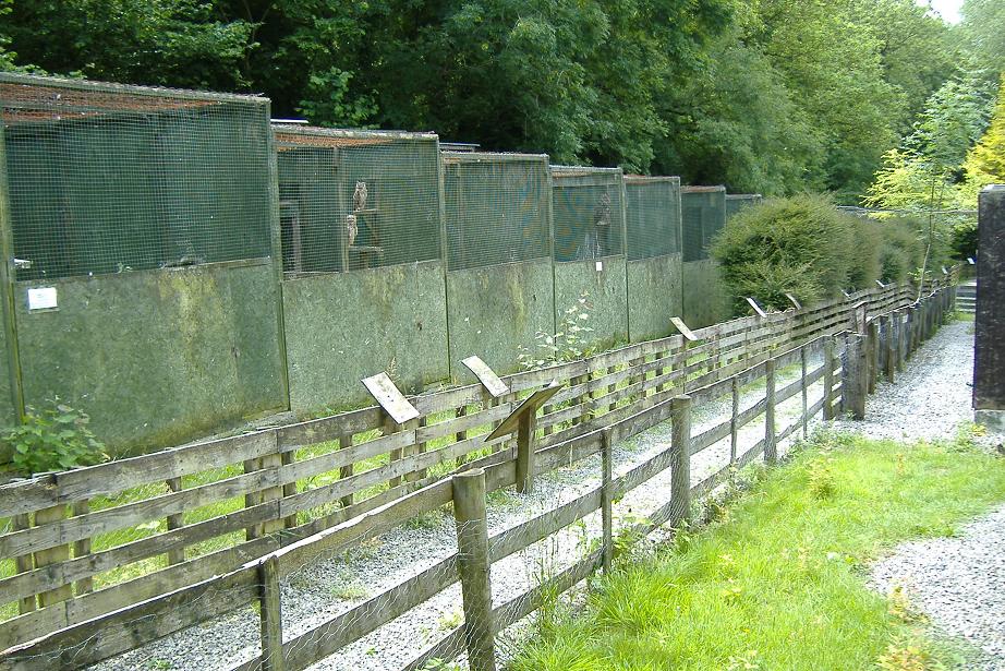 Bird of Prey aviaries at the Welsh Hawking Centre