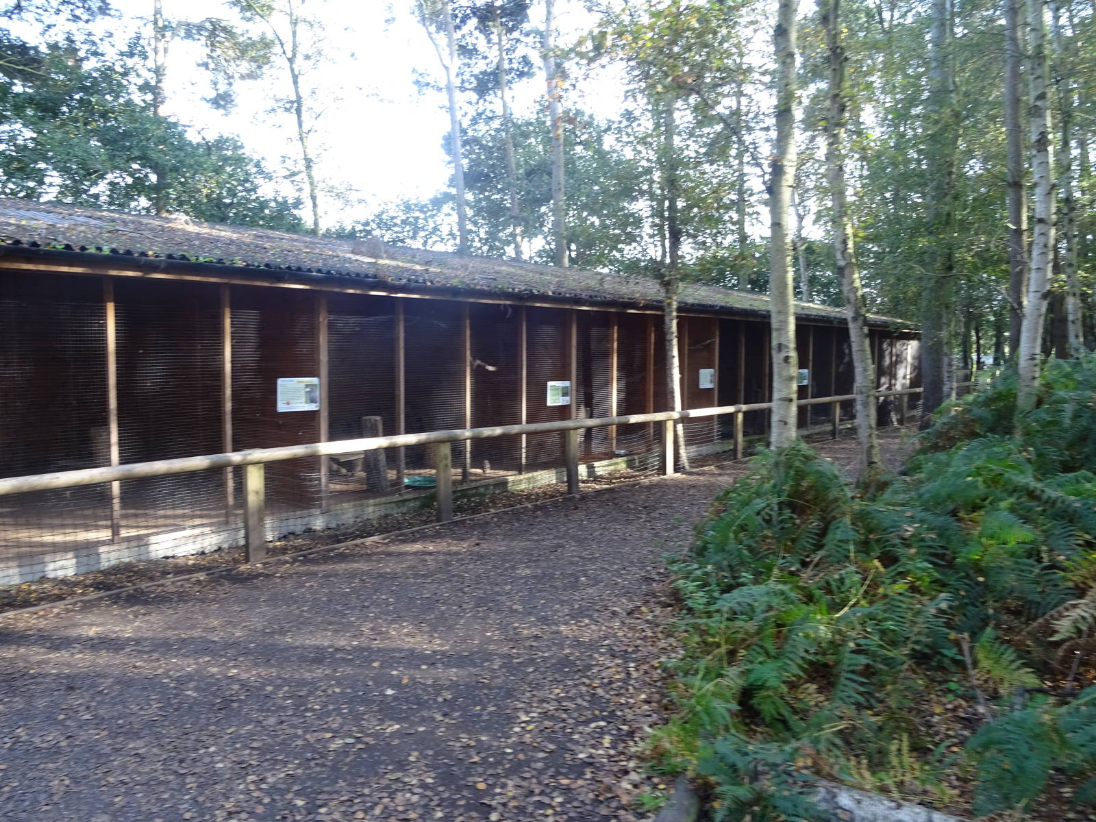 Bird of Prey Aviaries at Yorkshire Wildlife Park
