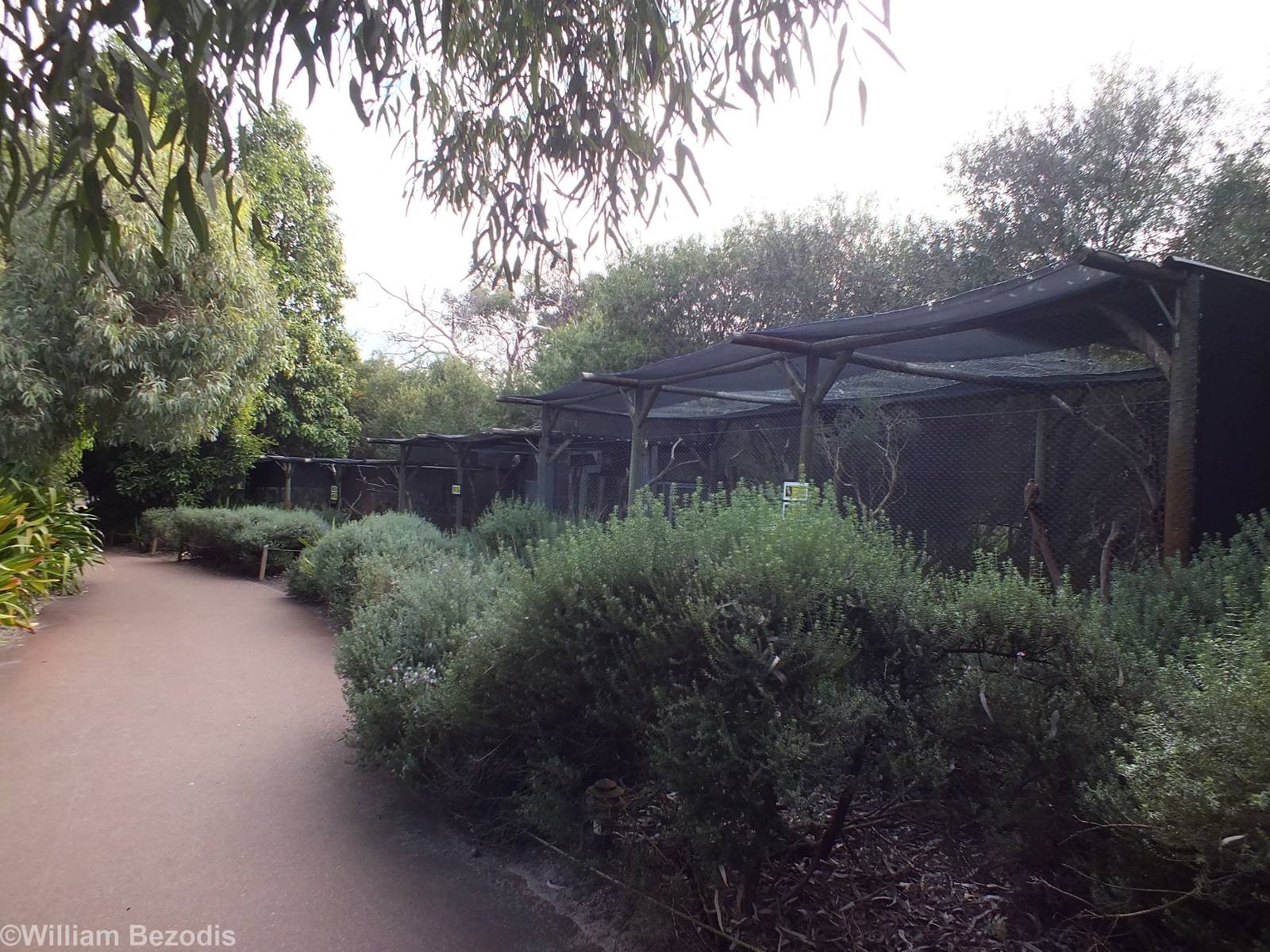 Bird of Prey Aviaries - Caversham Wildlife Park