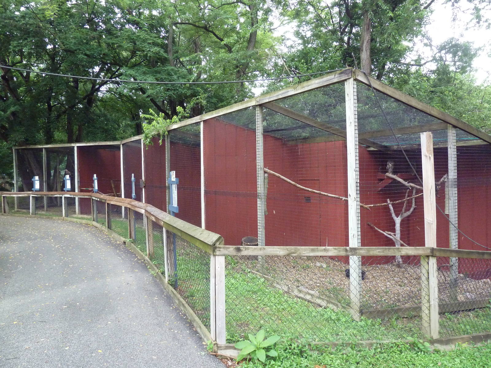 Bird of Prey Aviaries