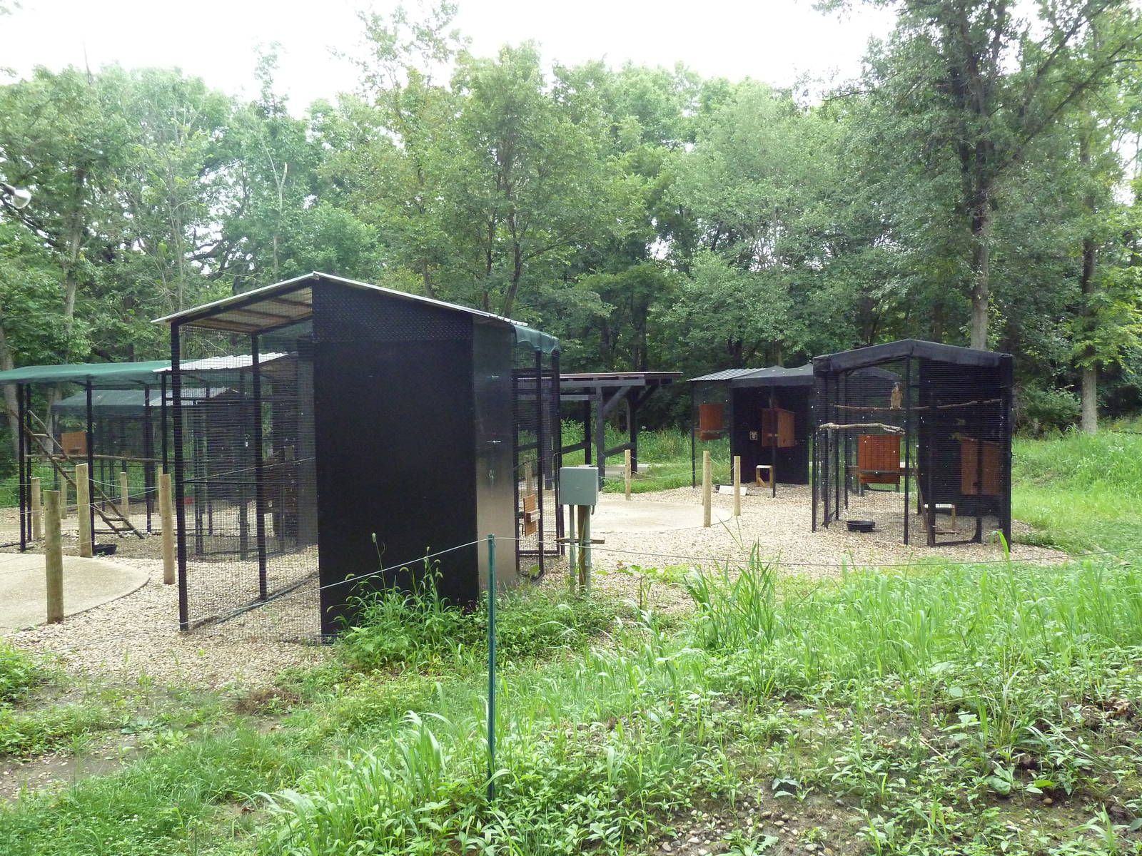 Bird of Prey Aviaries
