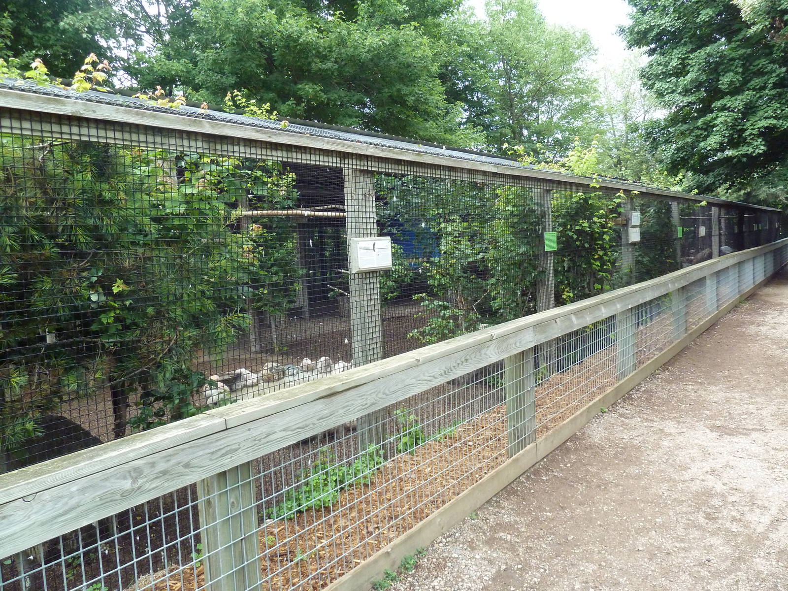 Bird of Prey Aviaries
