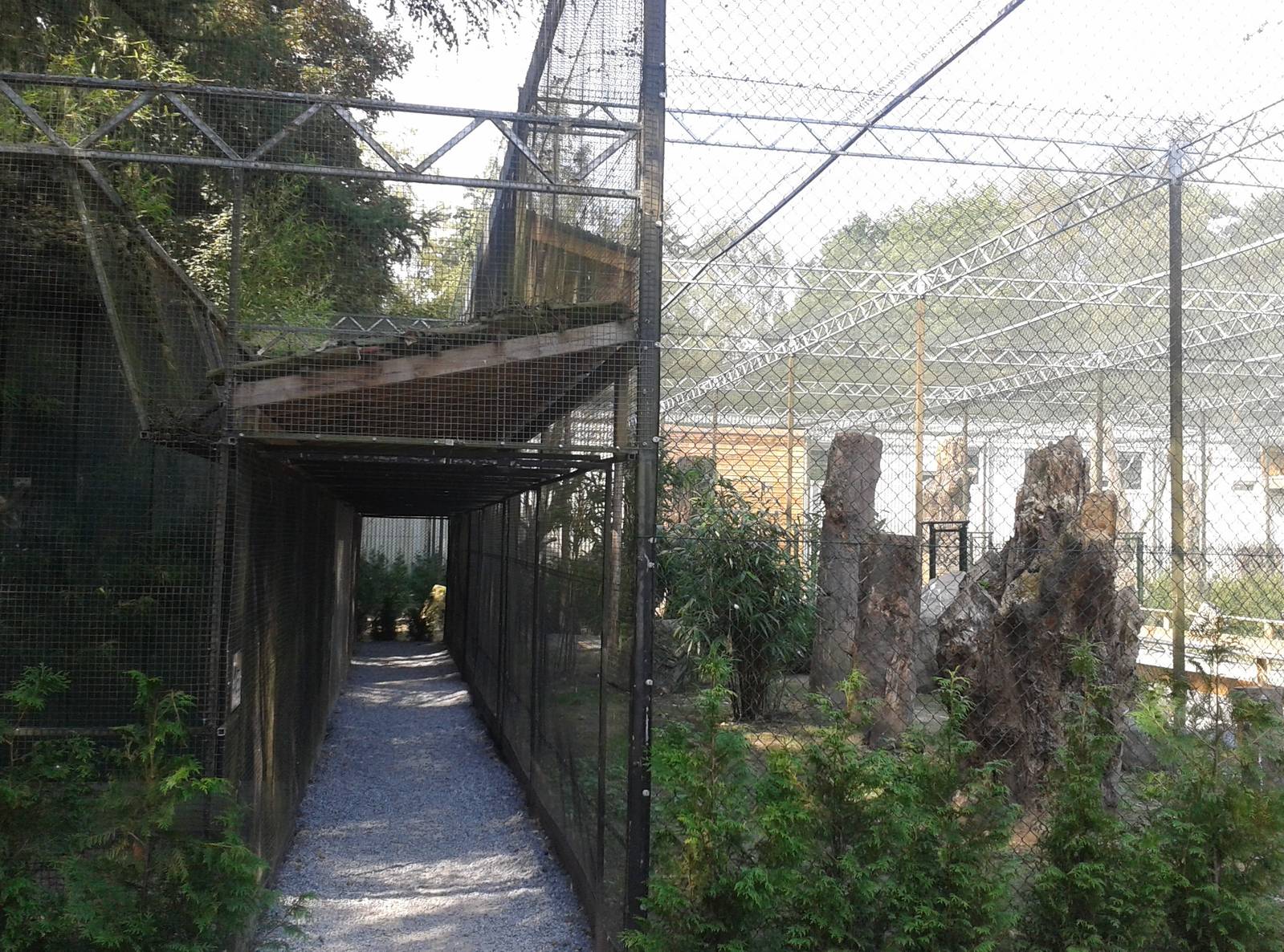 Bird of prey aviaries