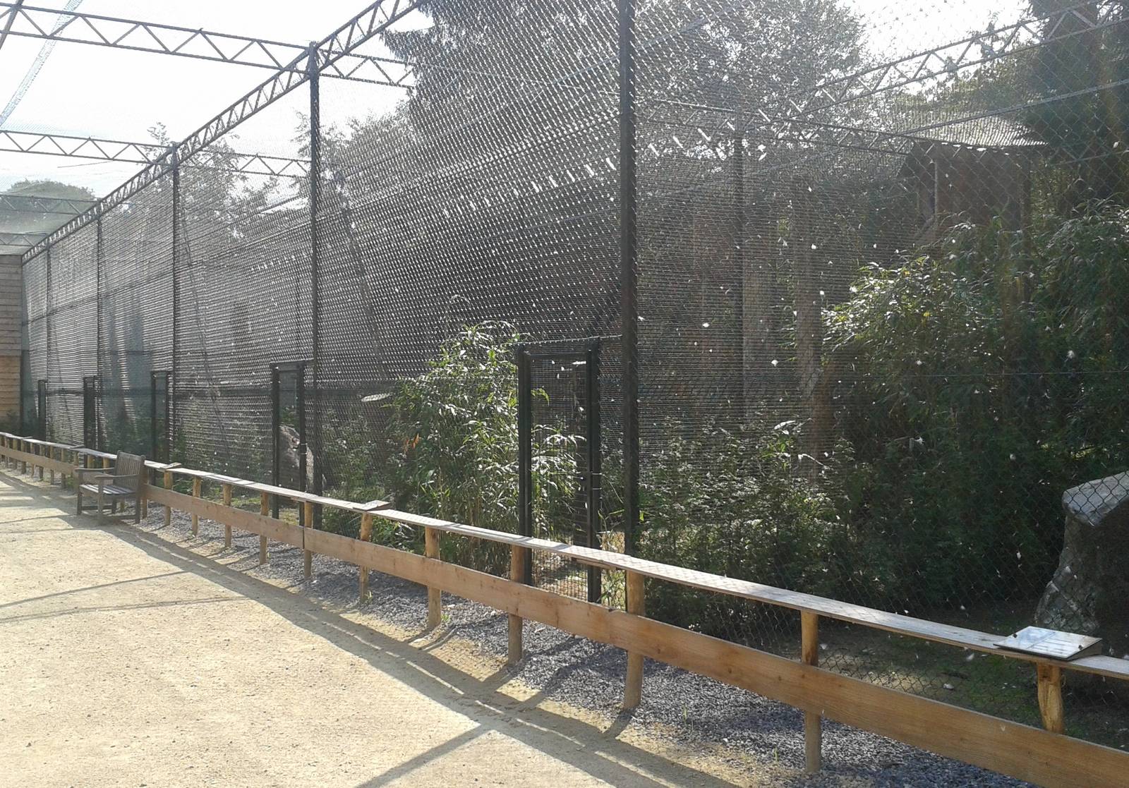 Bird of prey aviaries