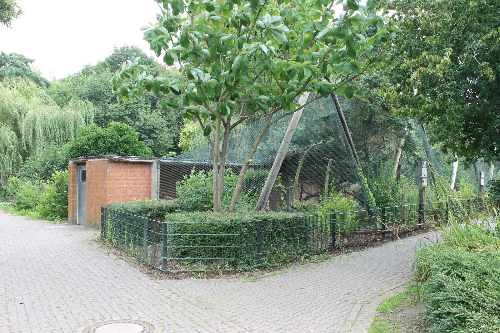 Bird of prey aviaries