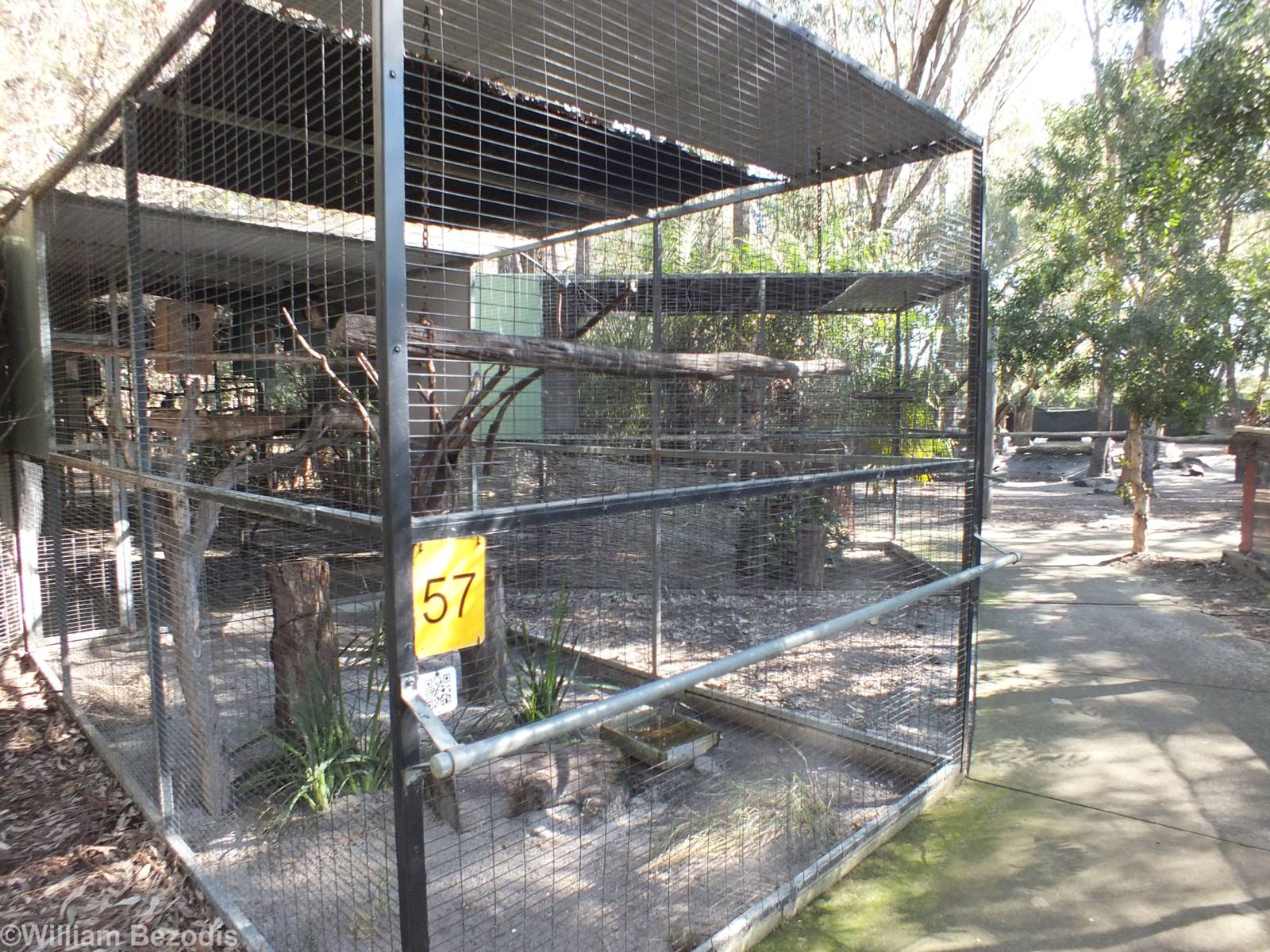 Bird of Prey Aviaries