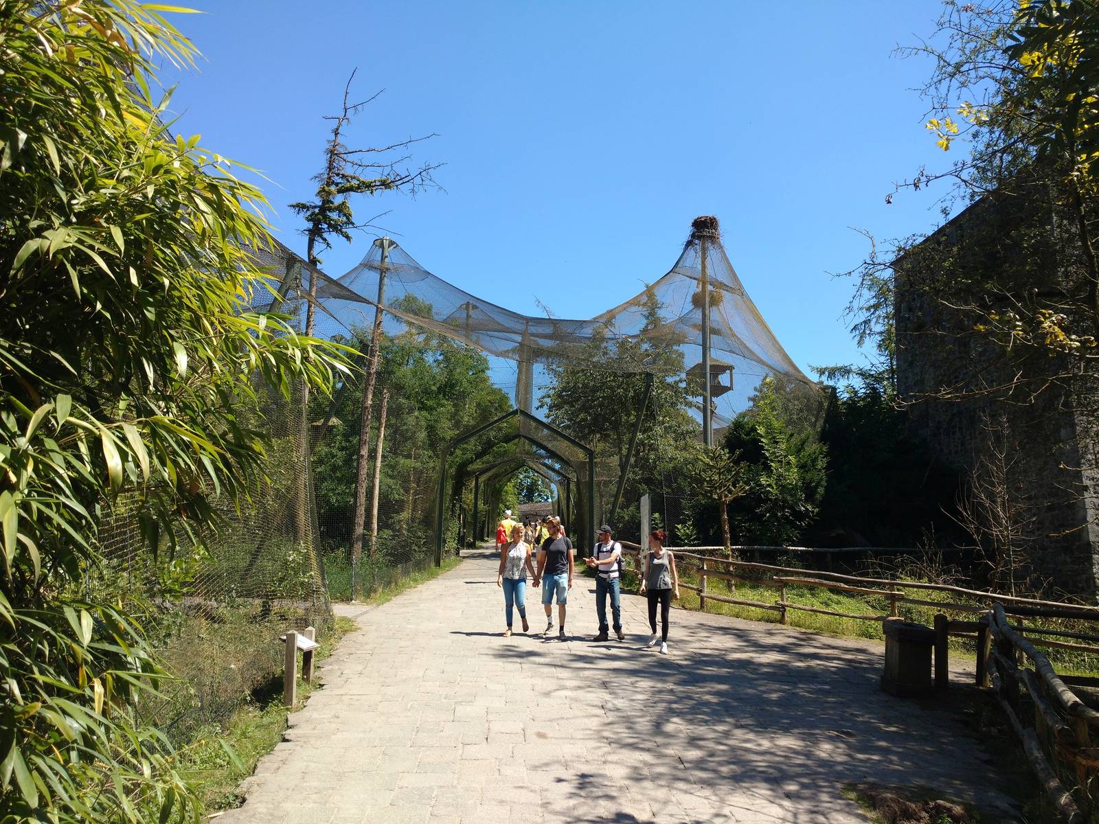 Bird of prey aviaries