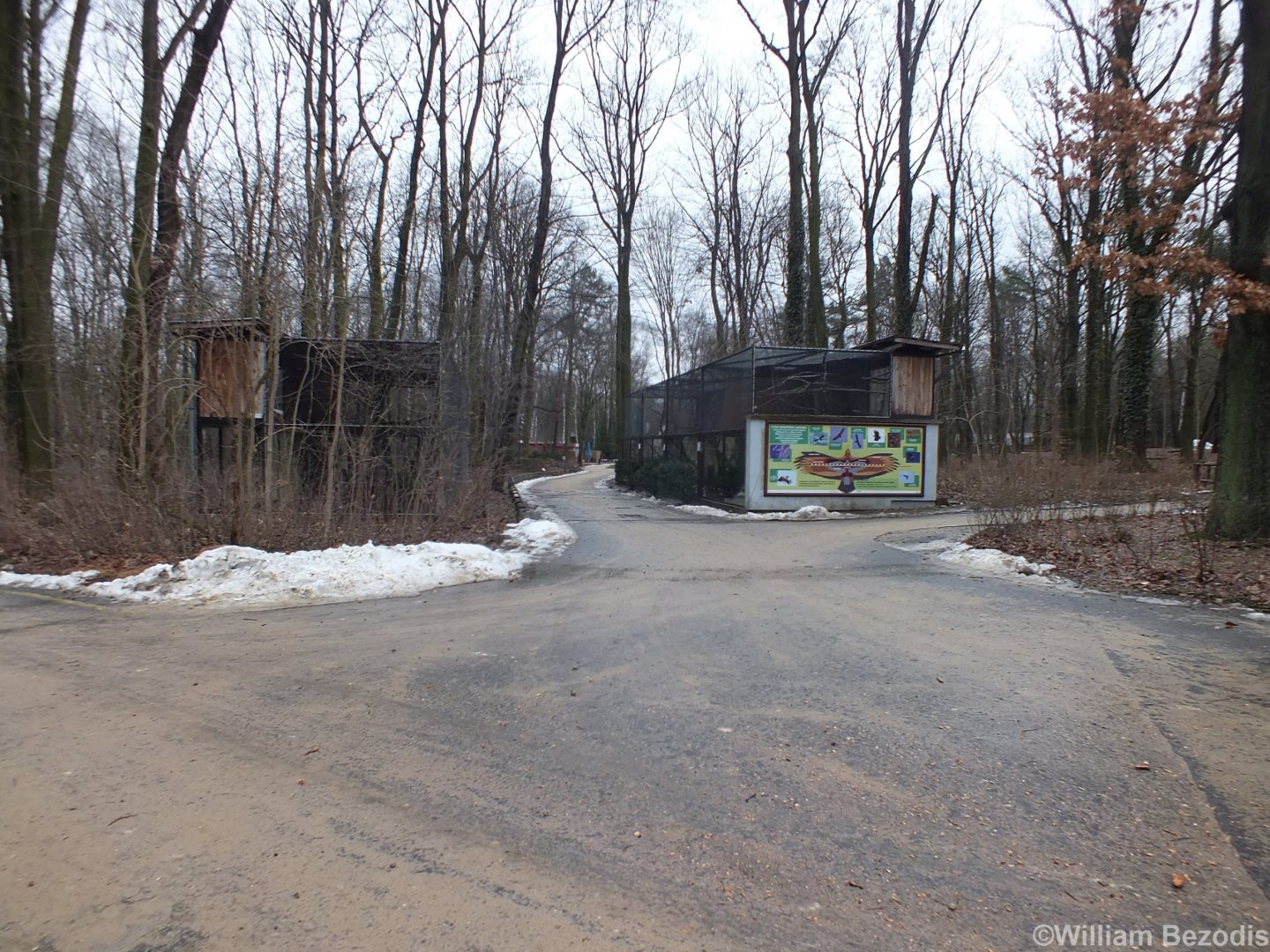 Bird of Prey Aviaries