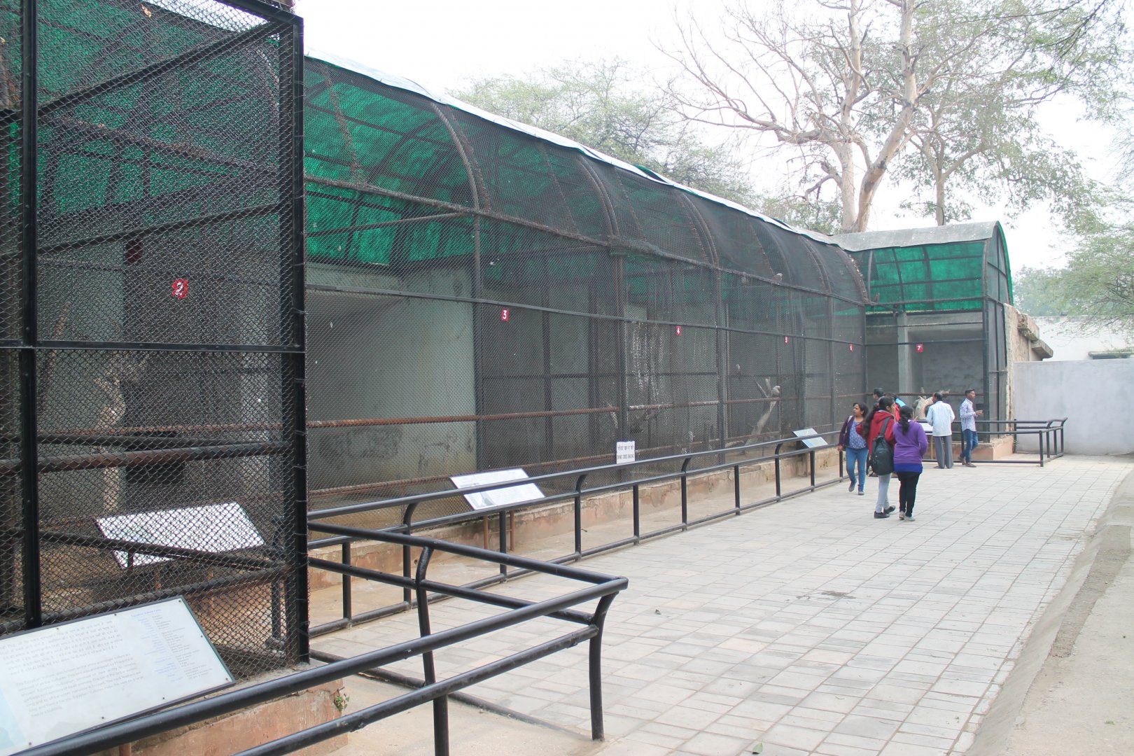 bird of prey aviaries