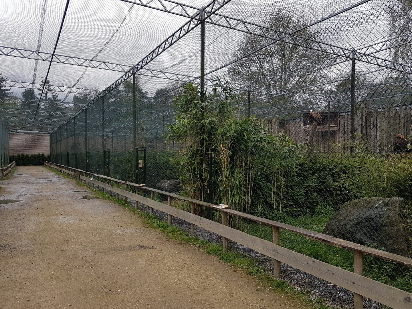 Bird of prey aviaries