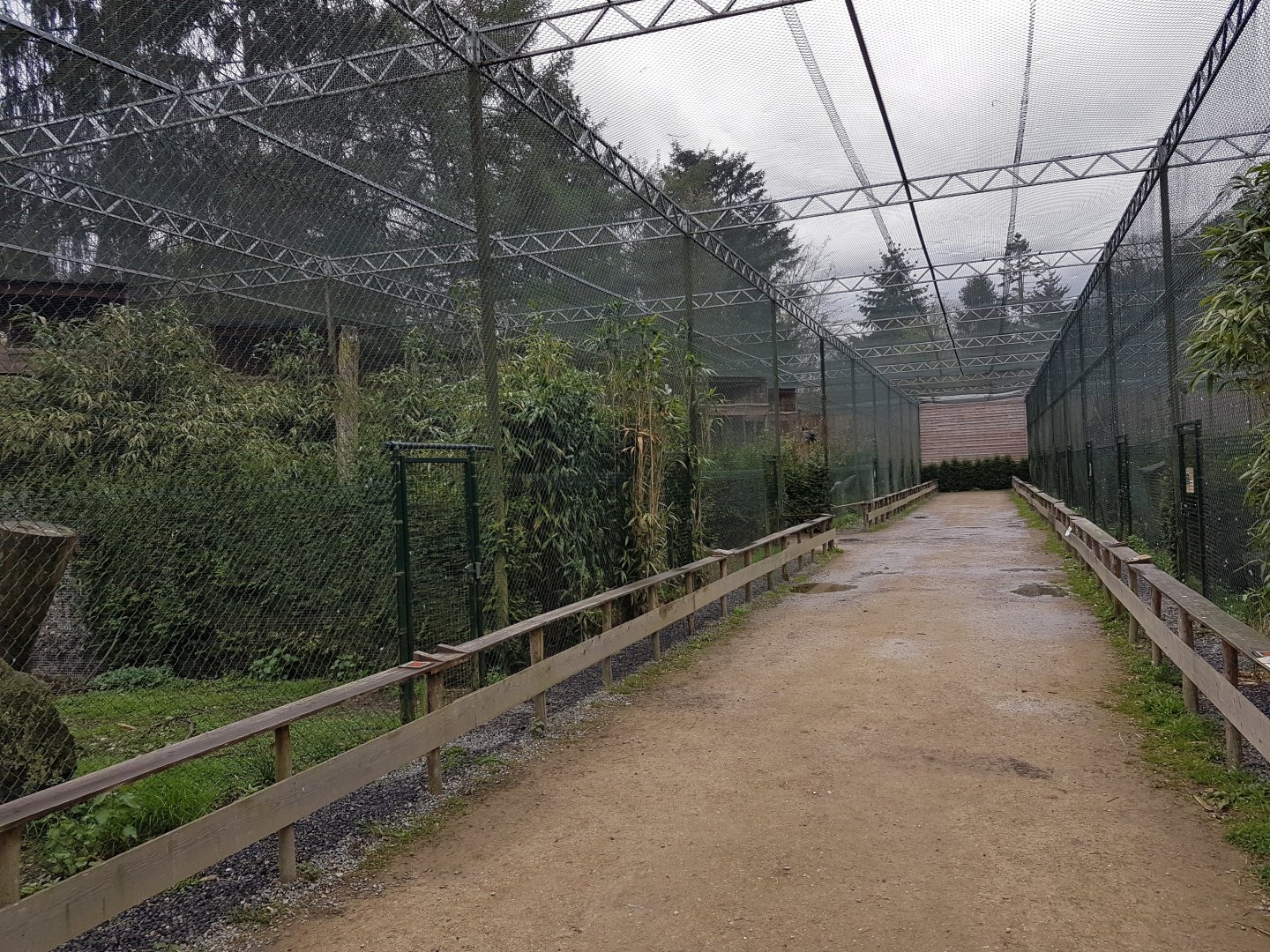 Bird of prey aviaries