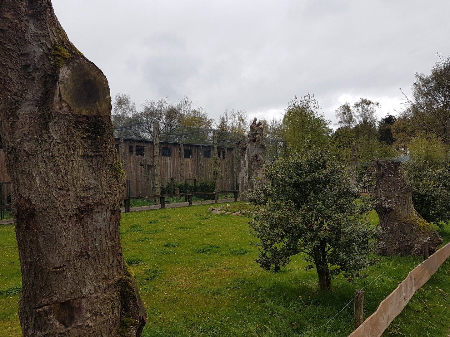 Bird-of-prey aviaries