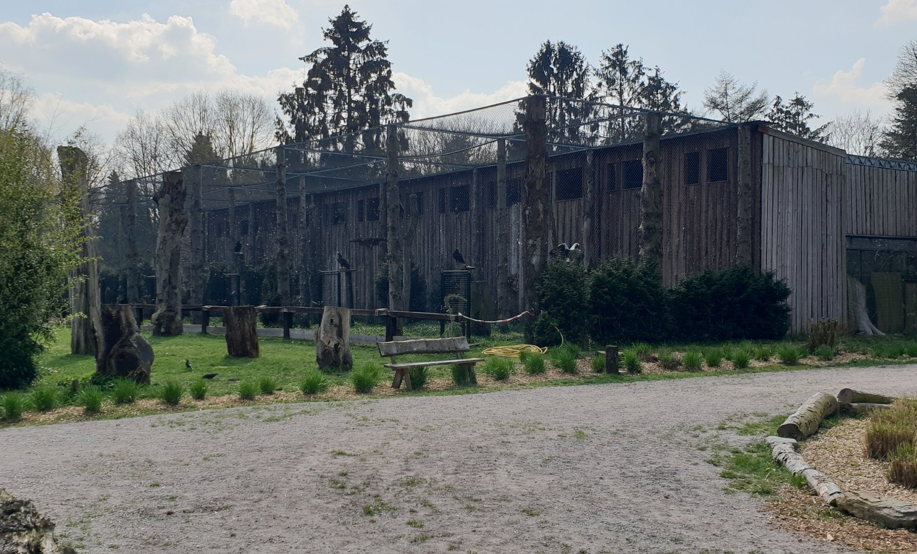 Bird of prey aviaries