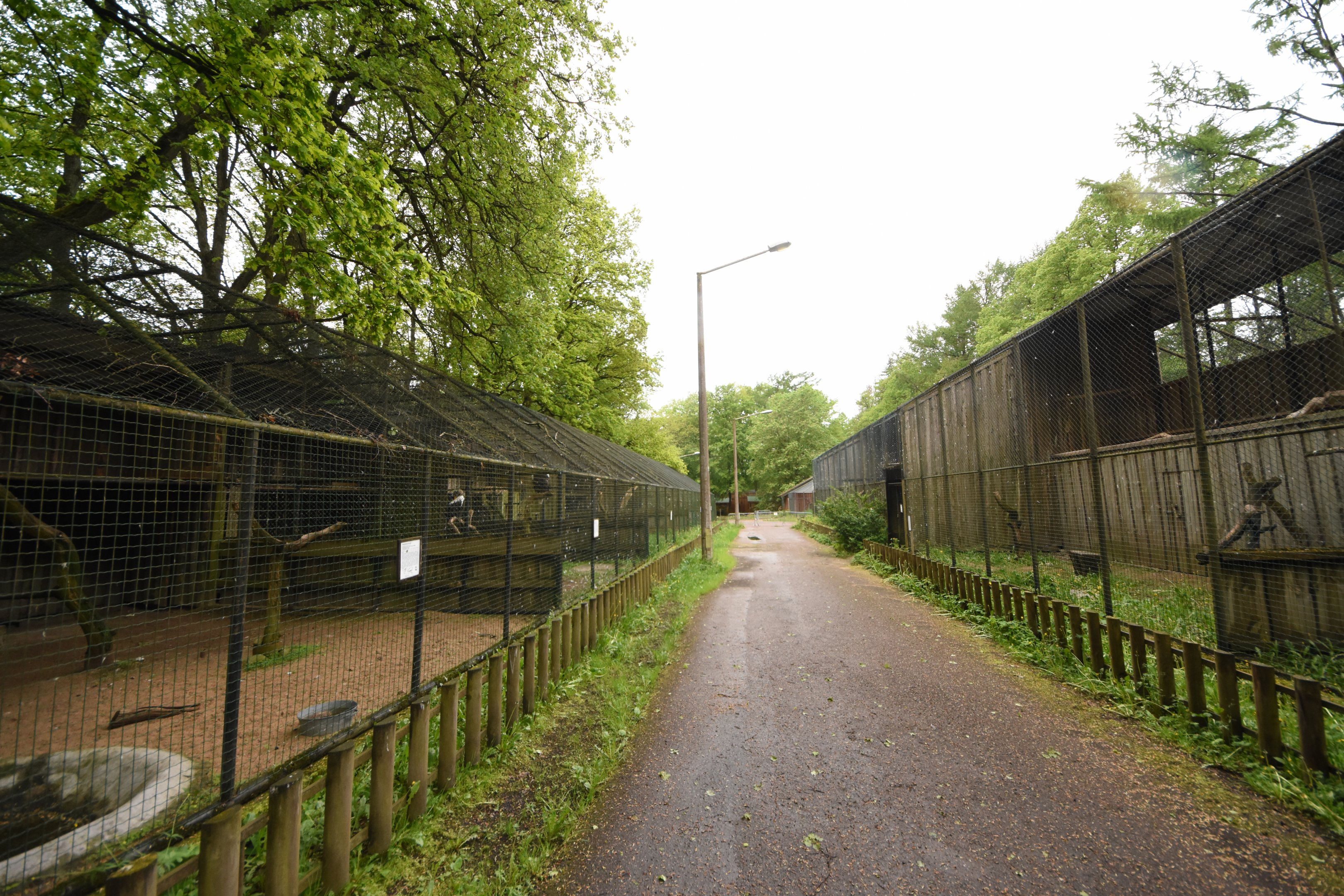 Bird of Prey aviaries