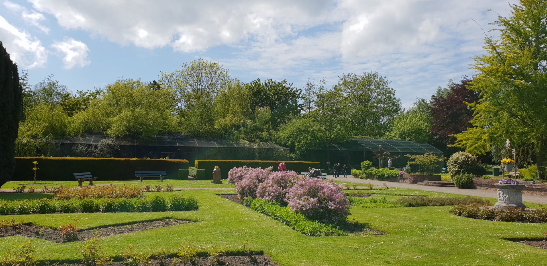 Bird of prey aviaries
