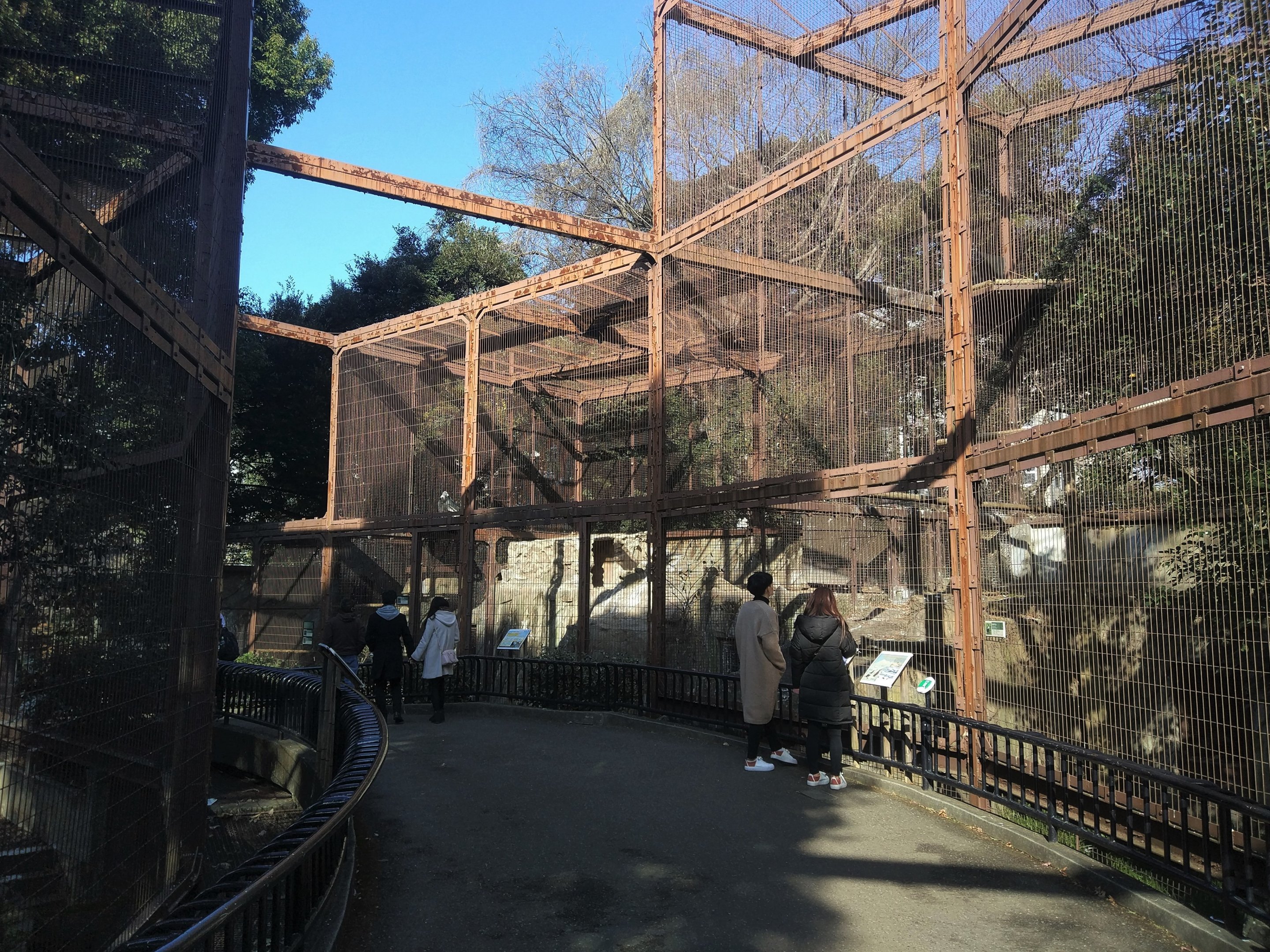 Bird Of Prey Aviaries