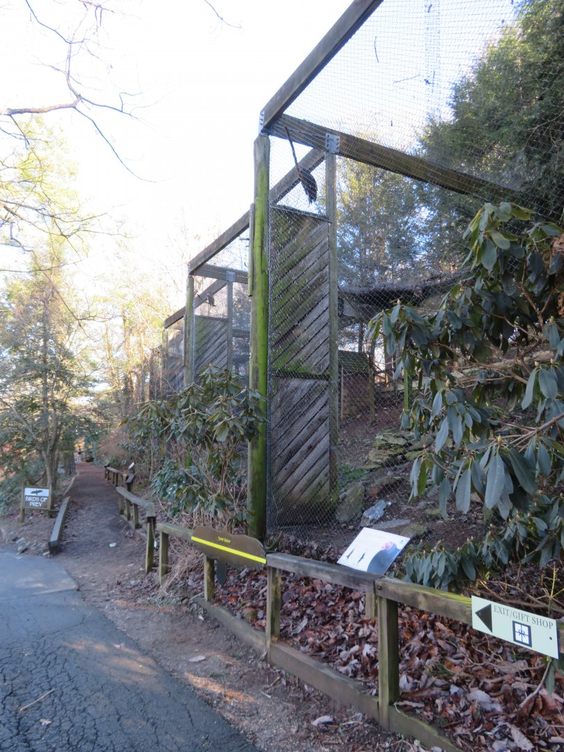 Bird of Prey Aviaries