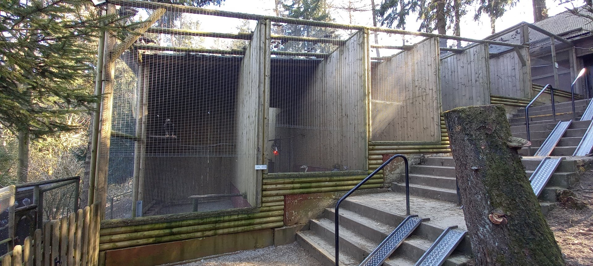 Bird of prey aviaries