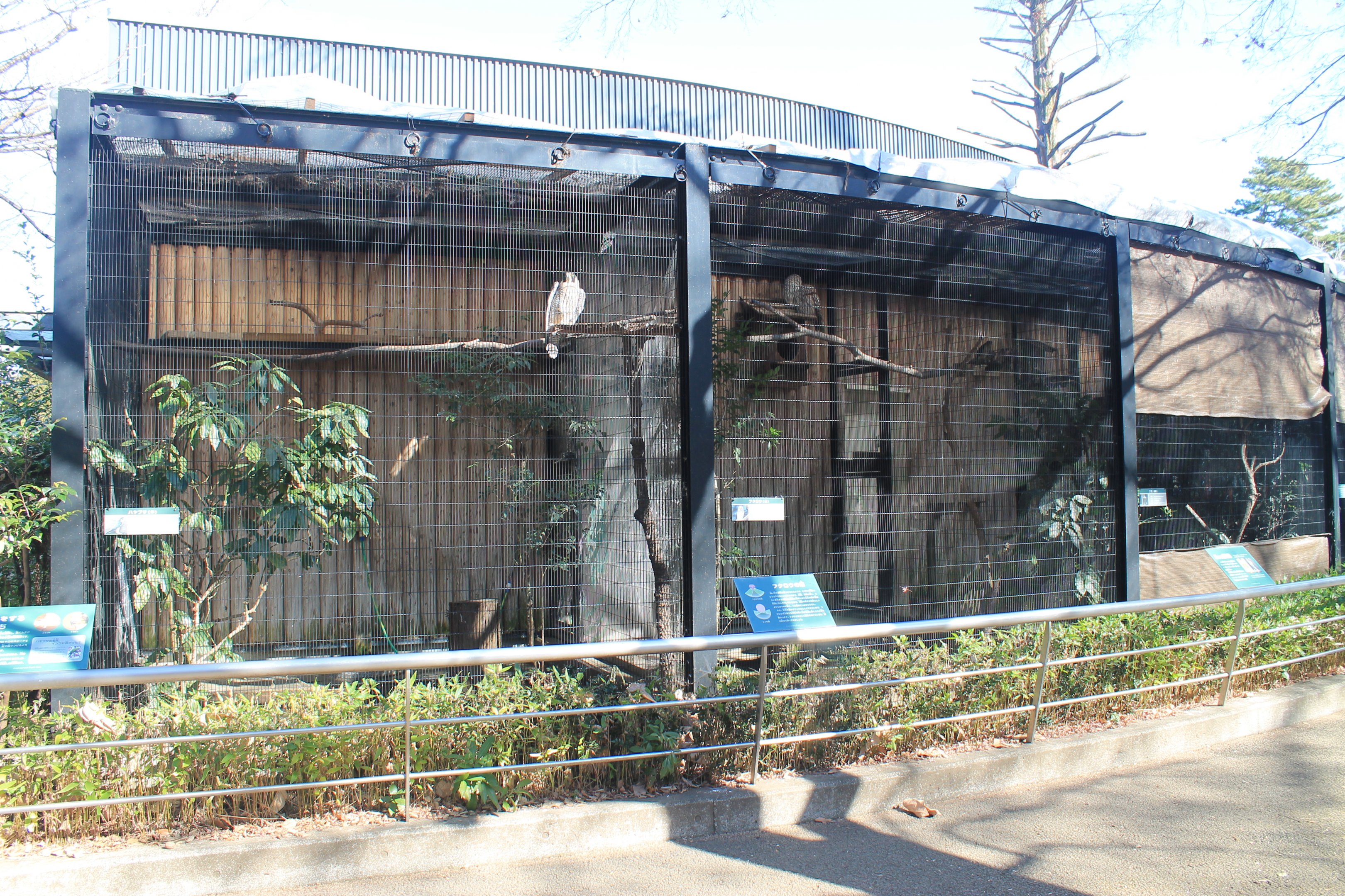 Bird of prey aviaries