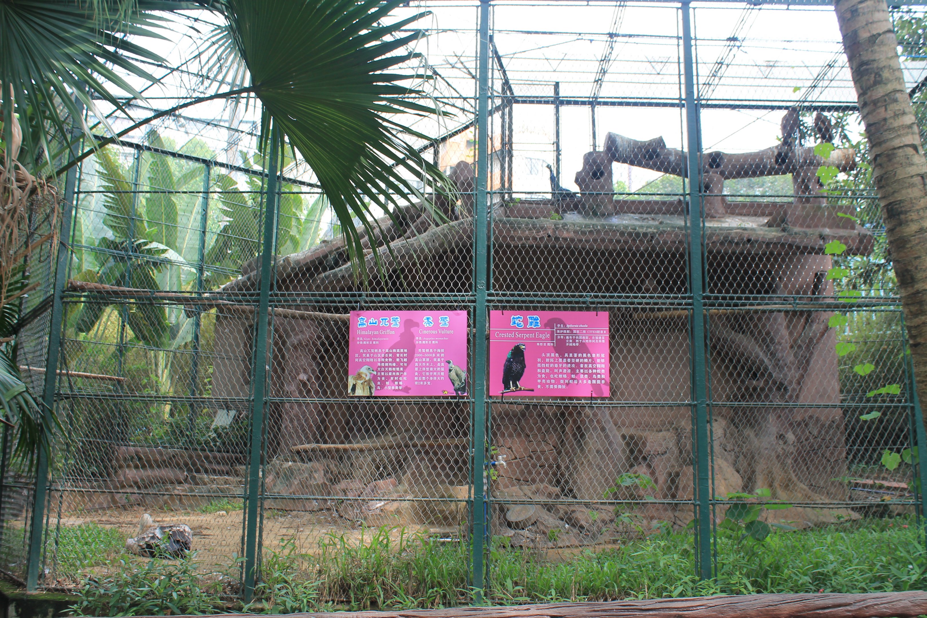 Bird of prey aviaries