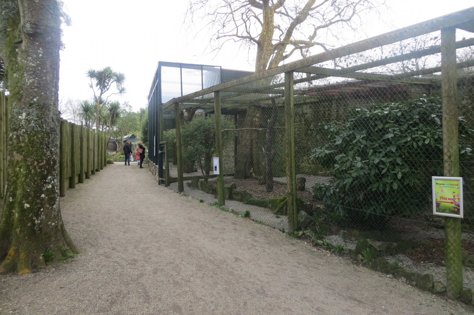 Bird of Prey aviary 190219