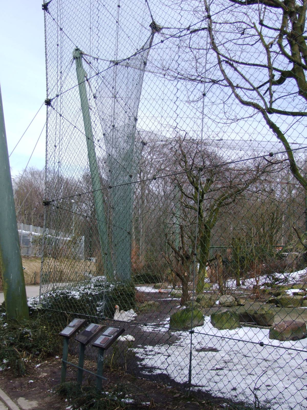 Bird of Prey Aviary at Hannover, 23/03/13