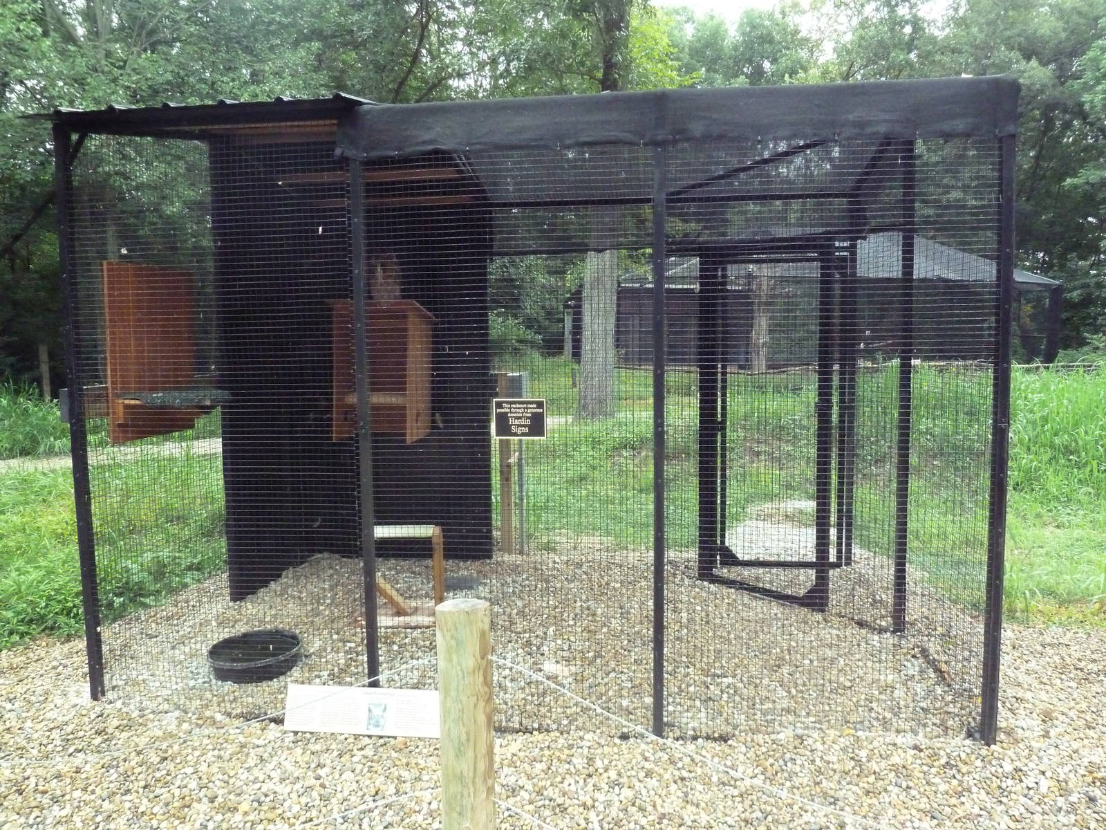 Bird of Prey Aviary - Great Horned Owl