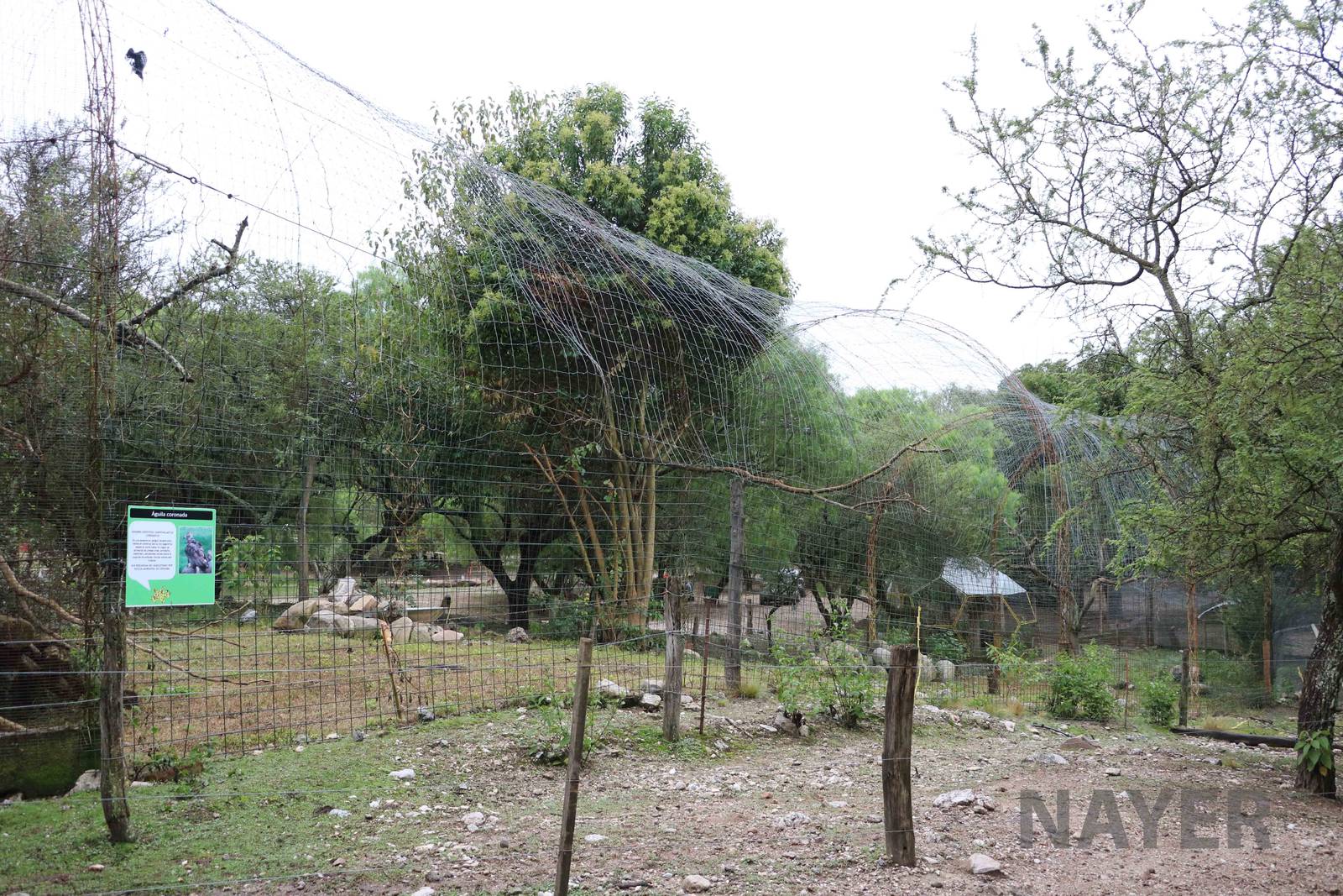 Bird of prey aviary - Tatu Carreta, April 2016.