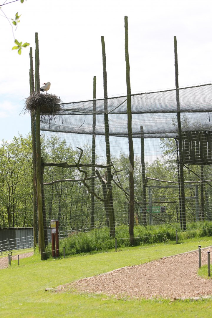 Bird of prey-aviary with stork-nest
