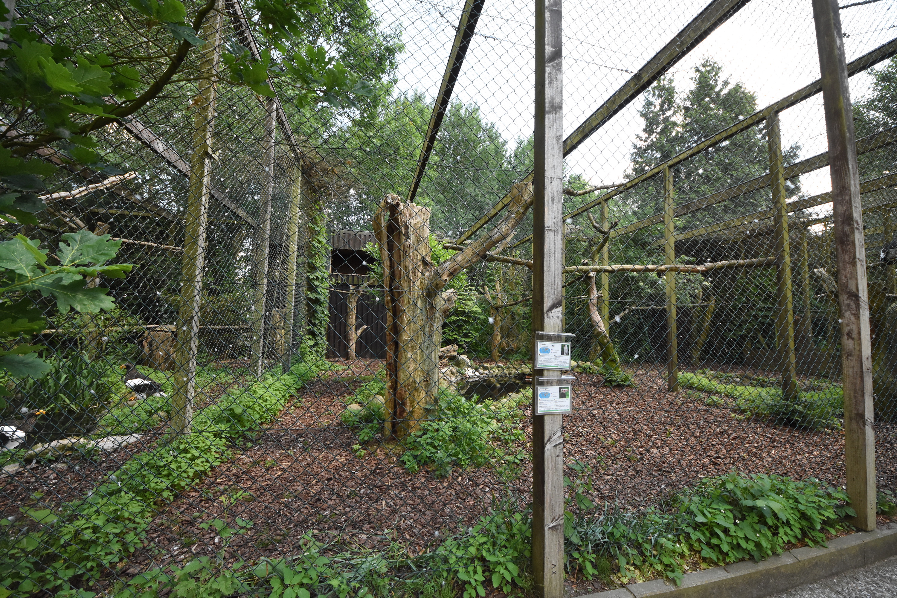 Bird of Prey aviary